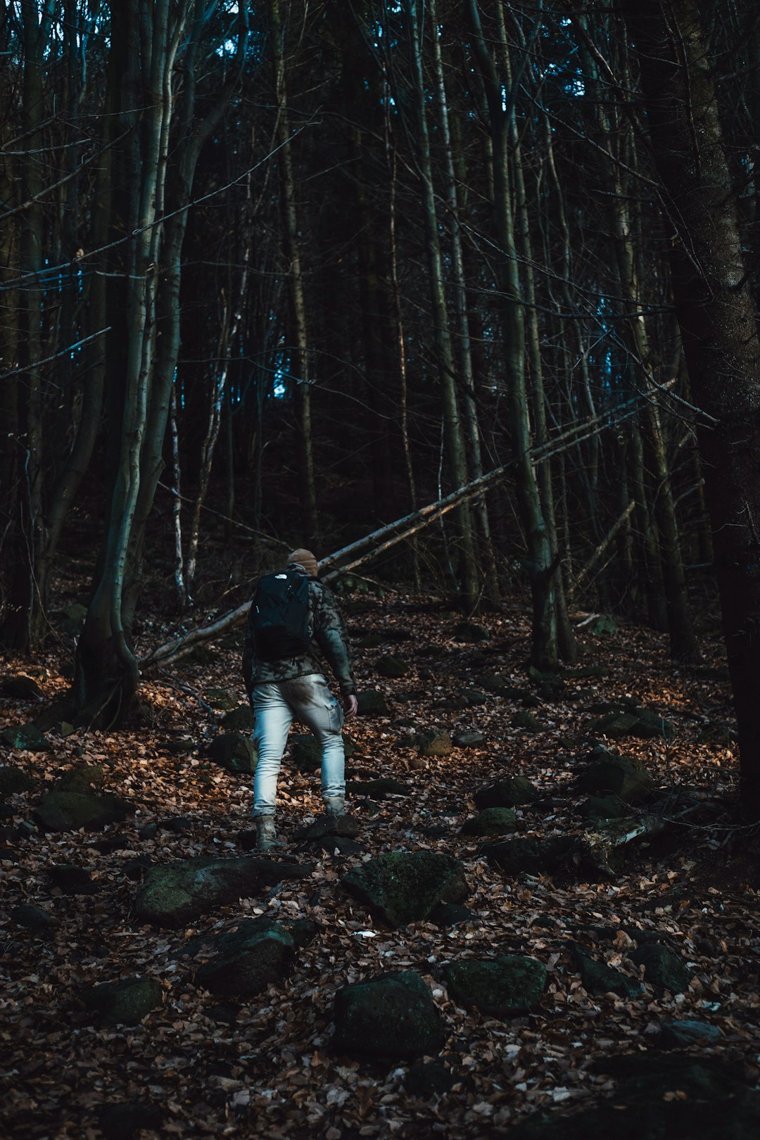 man in black jacket and white pants walking on forest during daytime