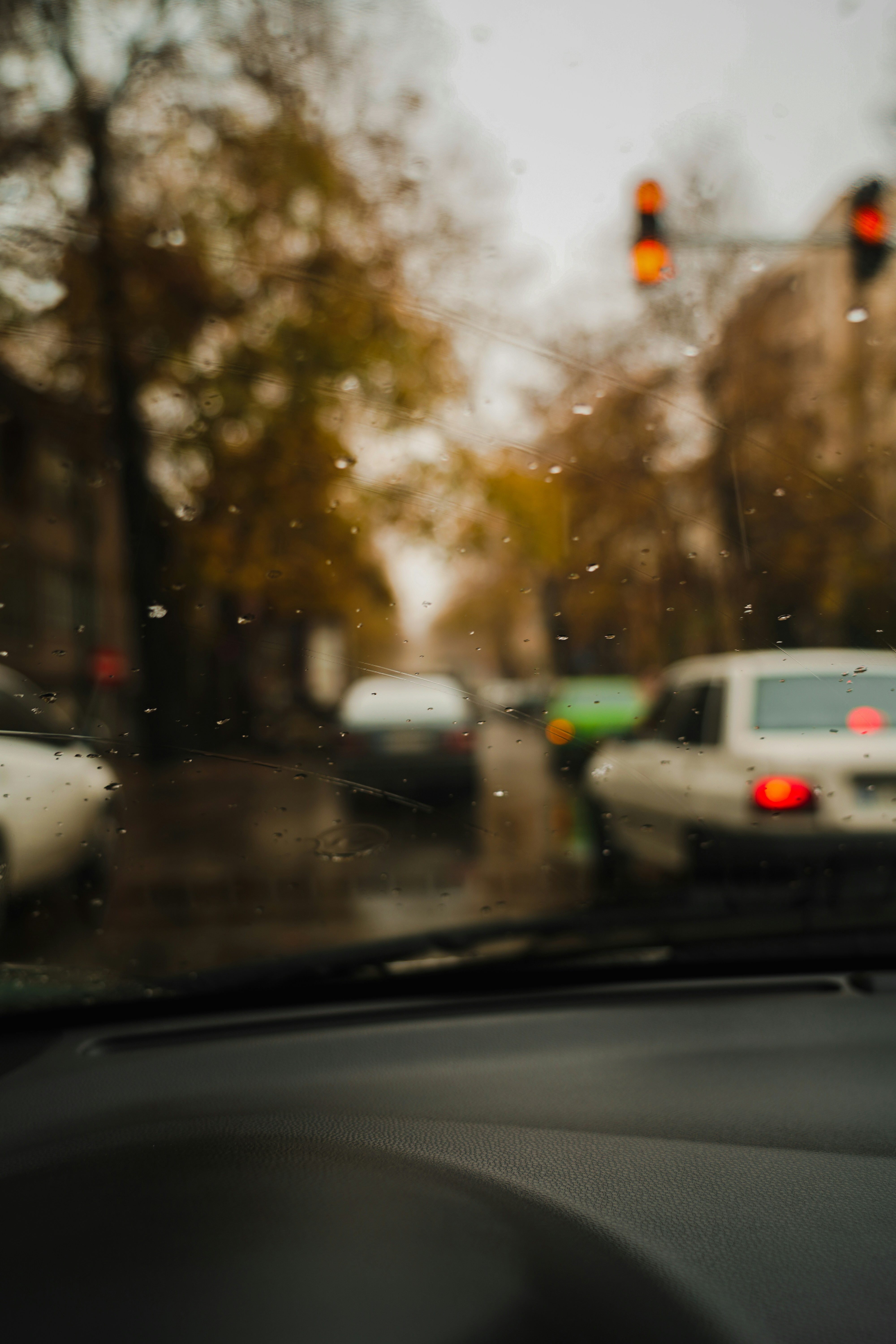 Photo by kiarash_mansouri