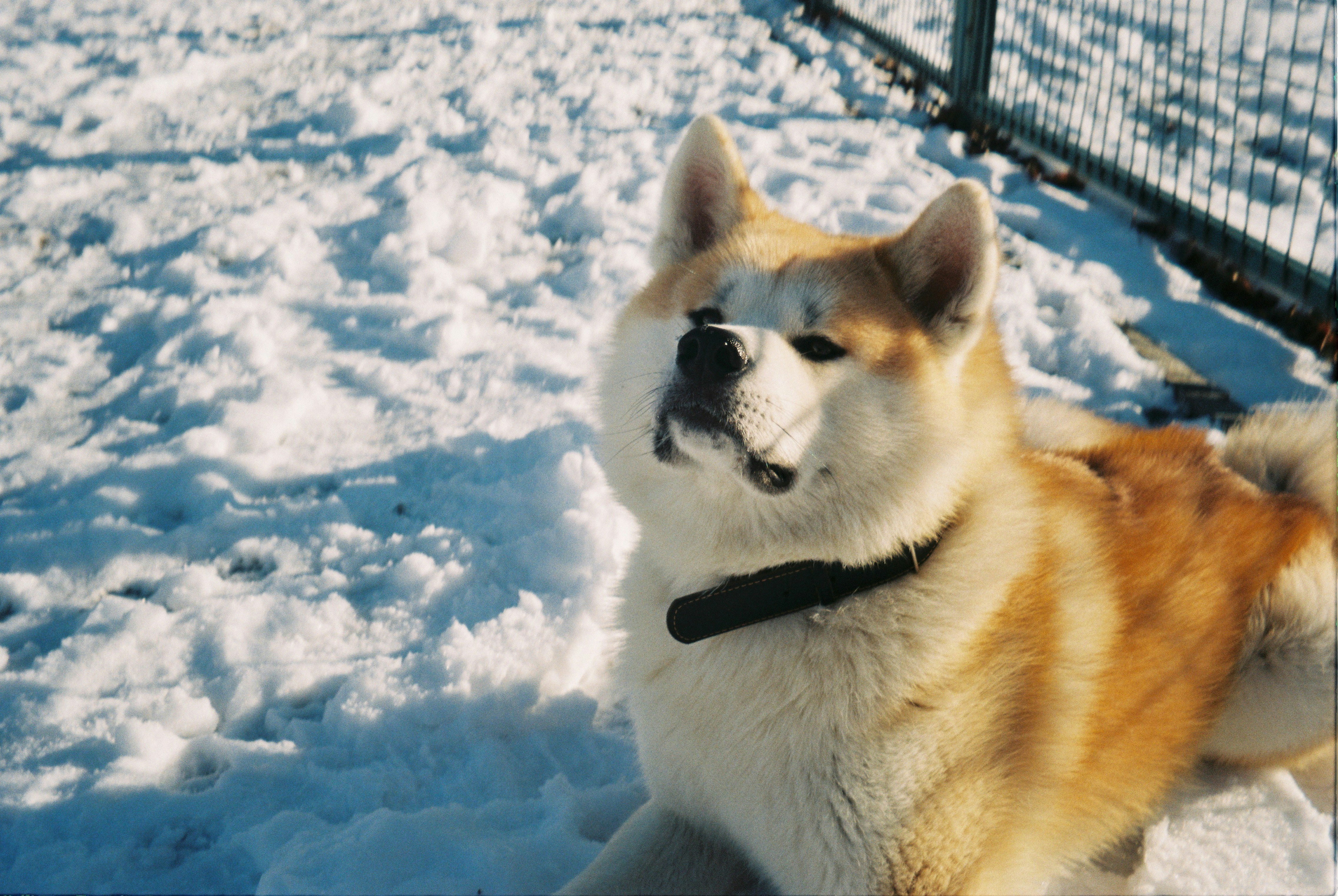 Photo by ddddddarya