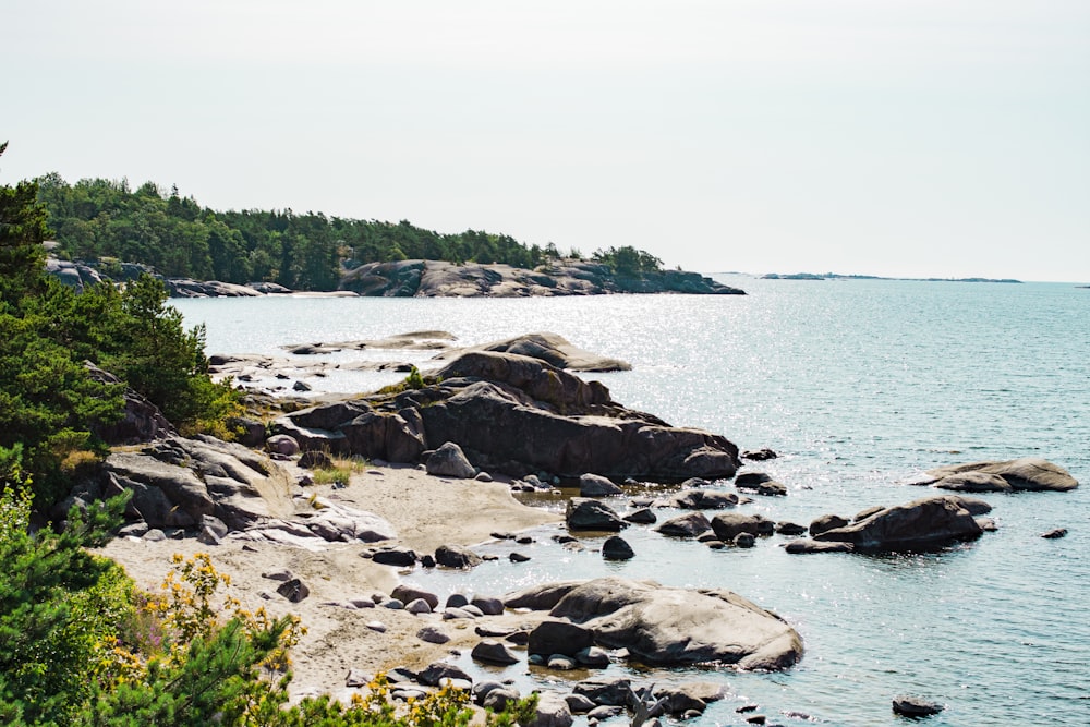 brown rocks on body of water during daytime