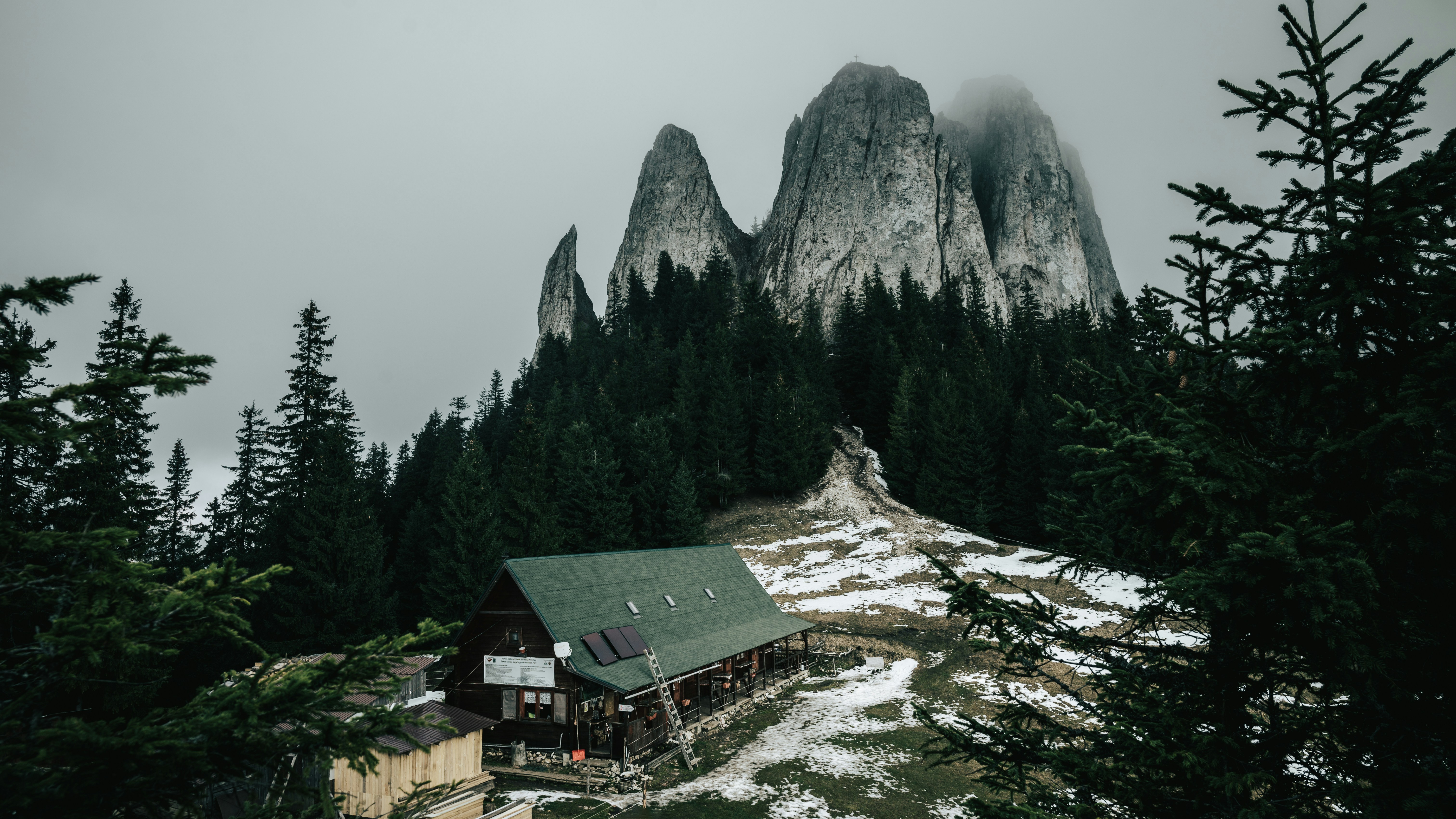 Photo by tamas_tuzeskatai