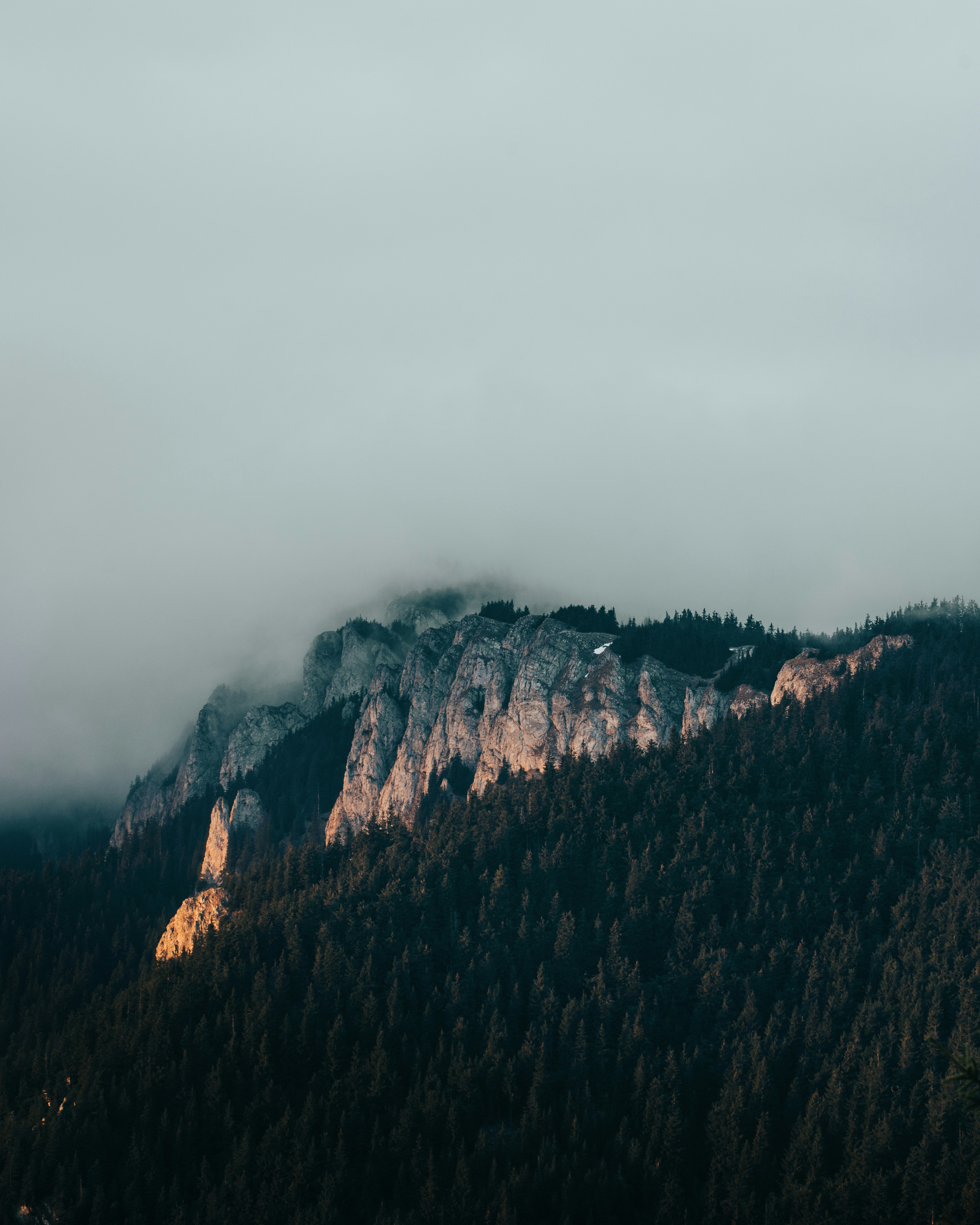 Photo by tamas_tuzeskatai