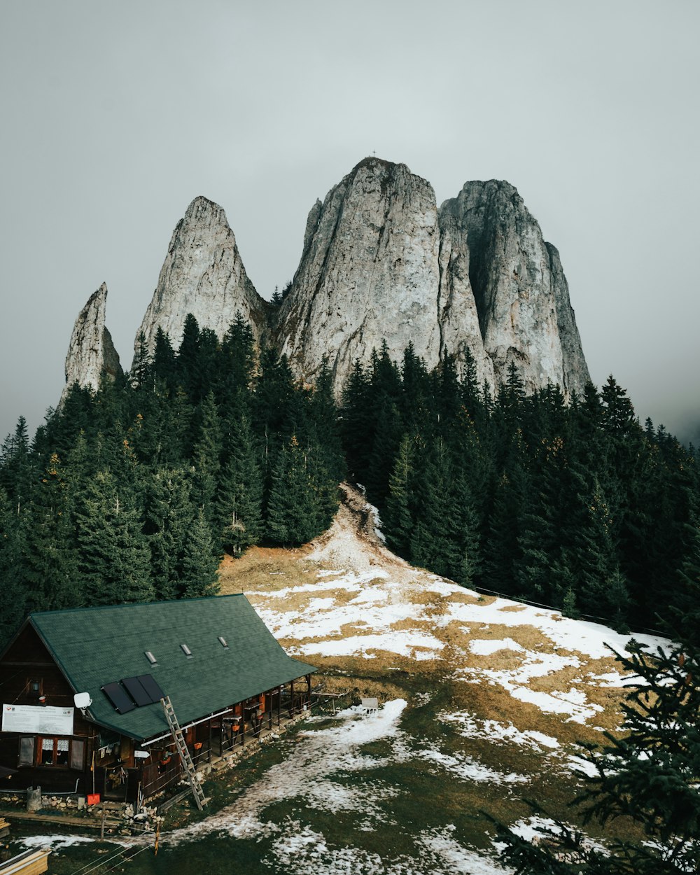 Braunes Holzhaus in der Nähe von grünen Bäumen und Bergen tagsüber