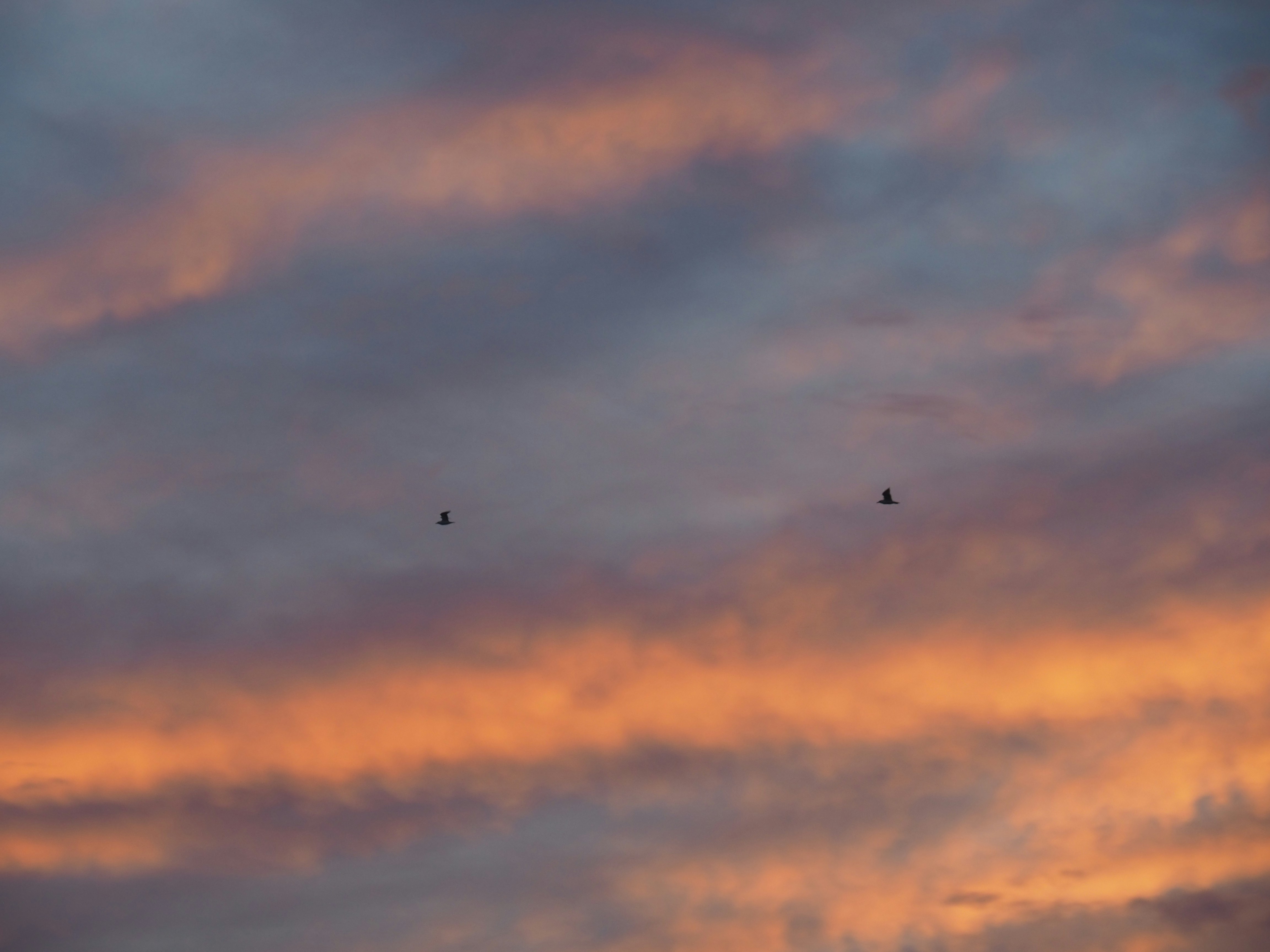 FluidFi header image