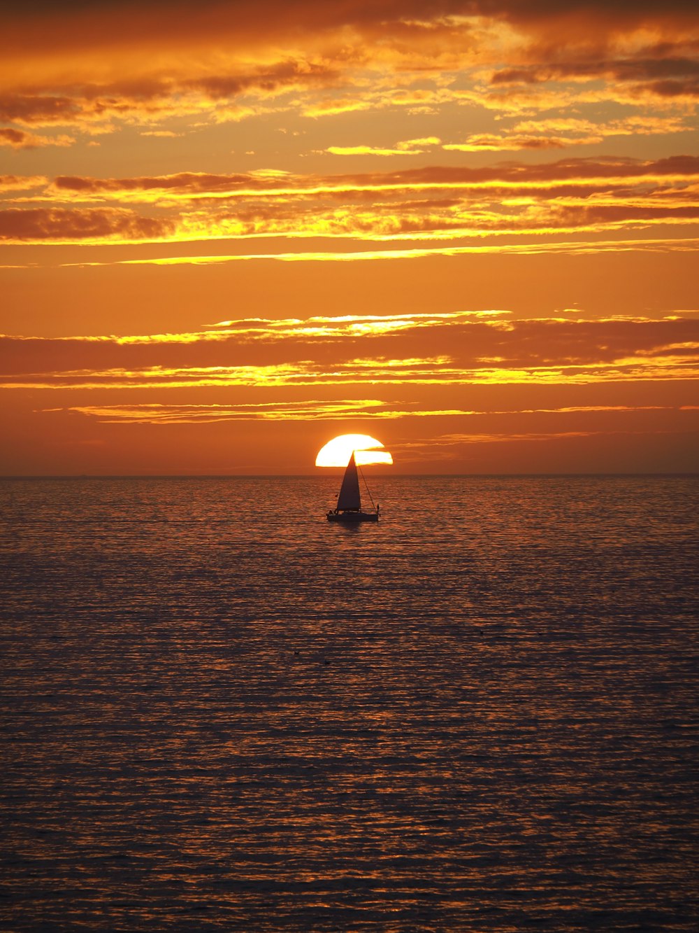 silhouette of person holding umbrella on sea during sunset