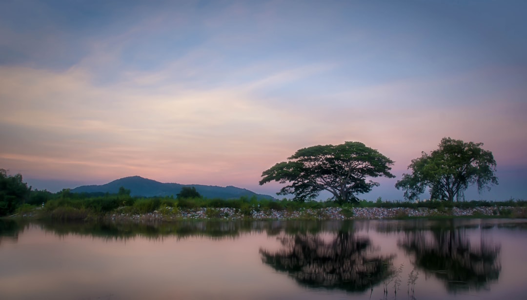 green trees on island during daytime