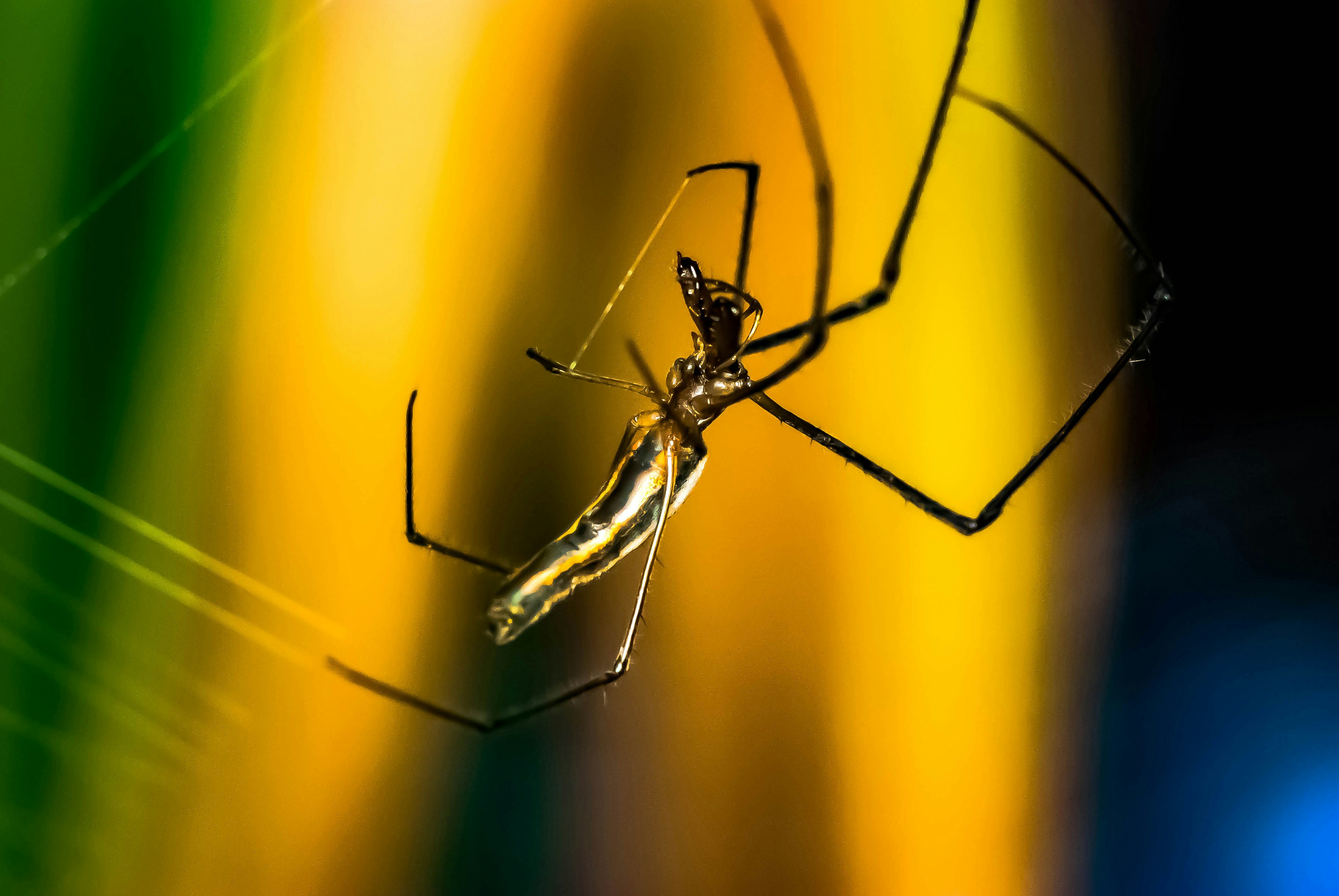 Photo by thom_oxford