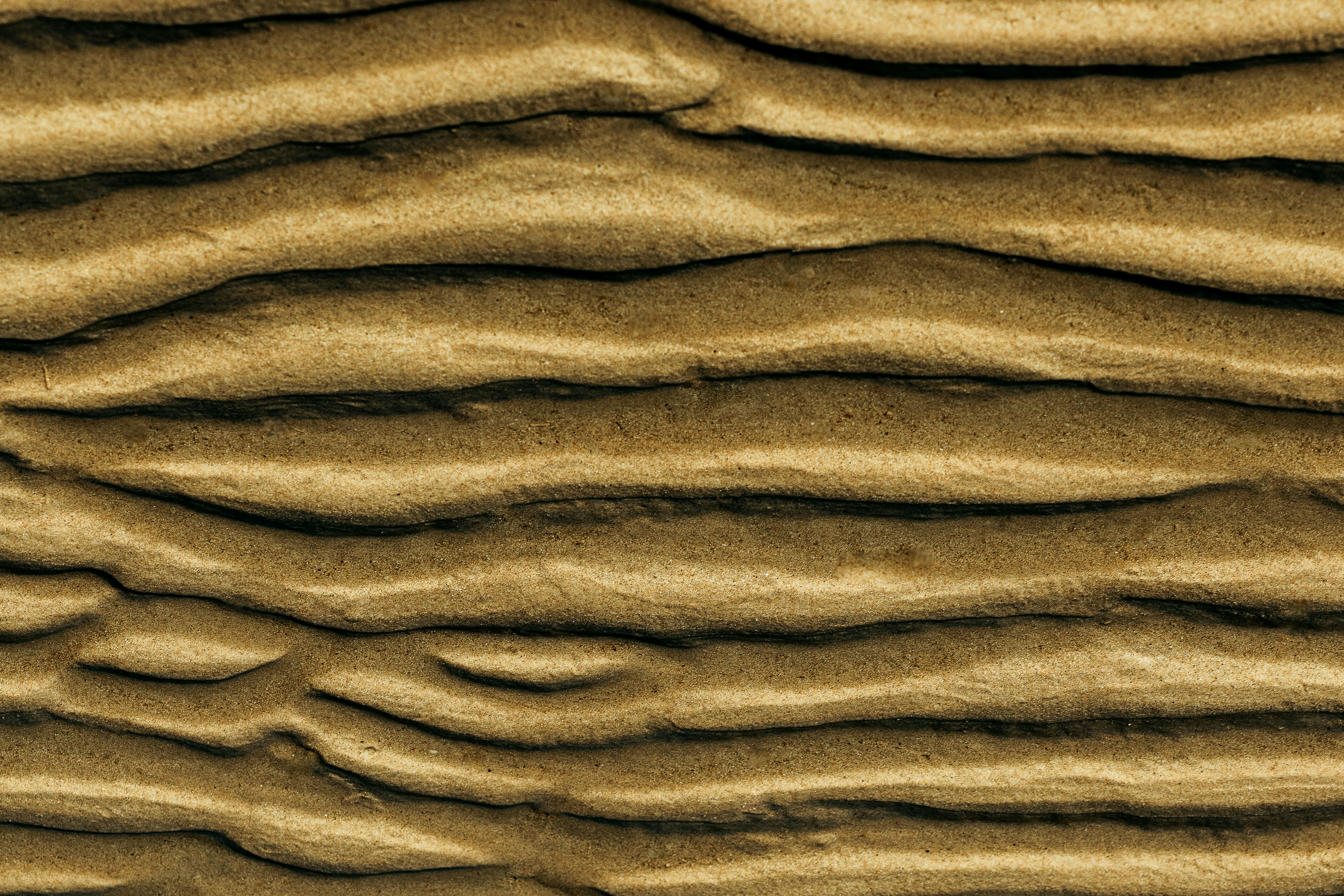 Photo by joaovoltolini