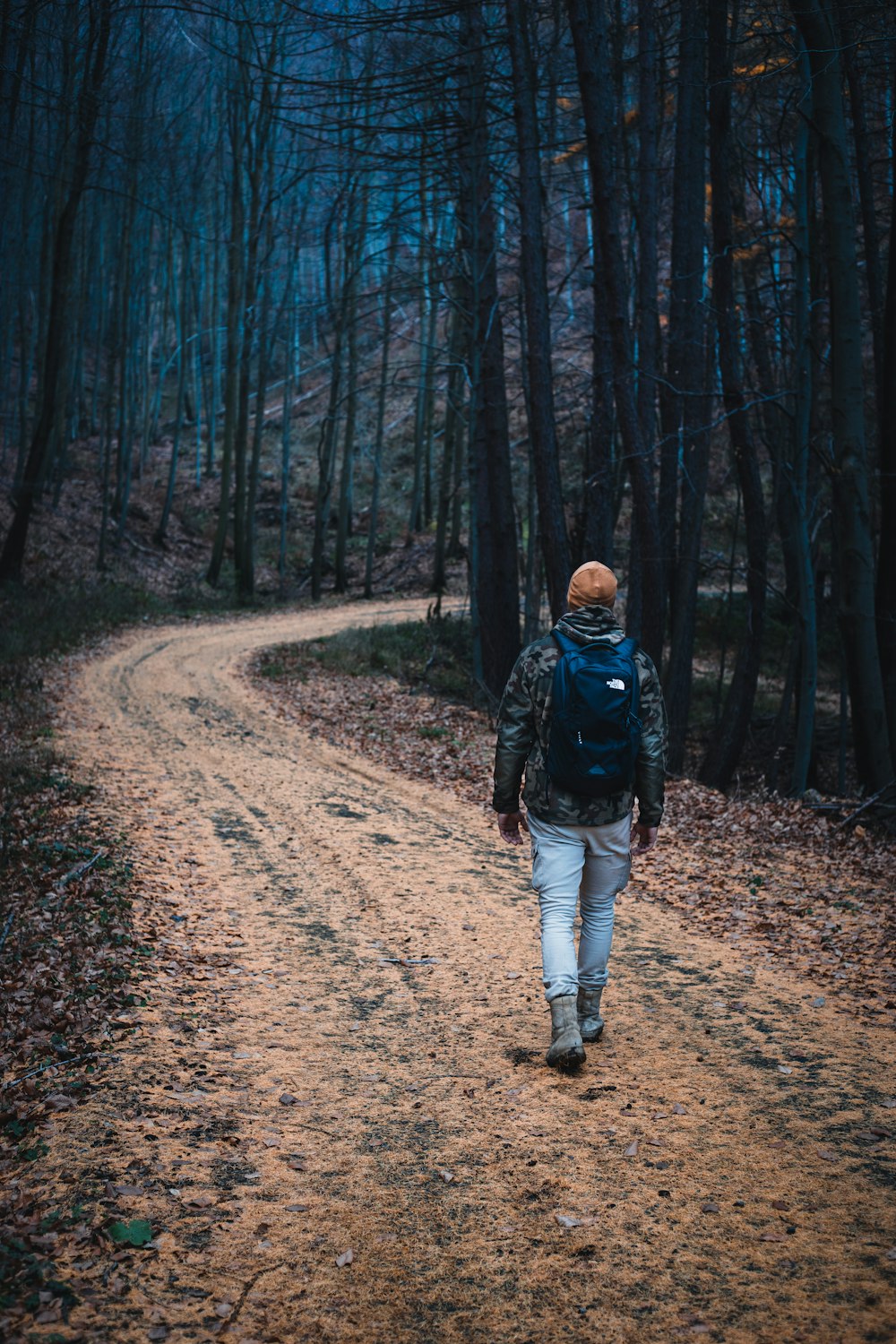 Hombre en chaqueta negra caminando por el camino de tierra en el bosque durante el día