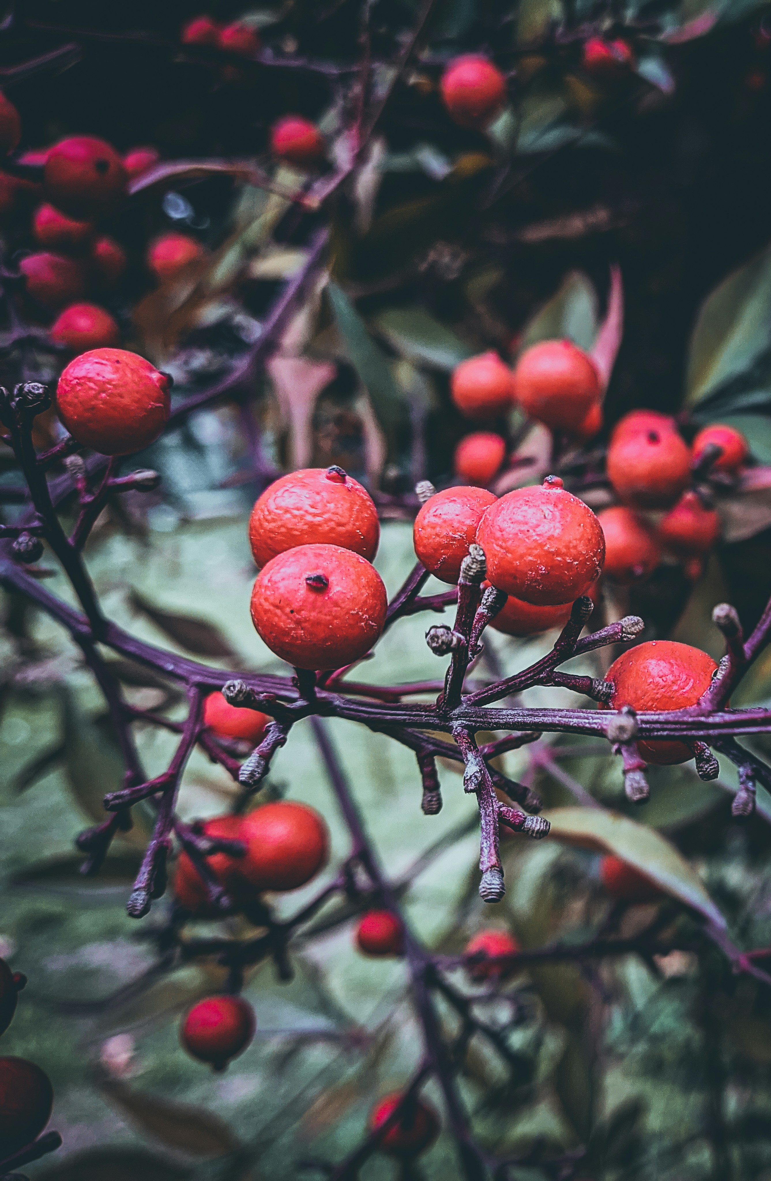 Photo by themirsuhail