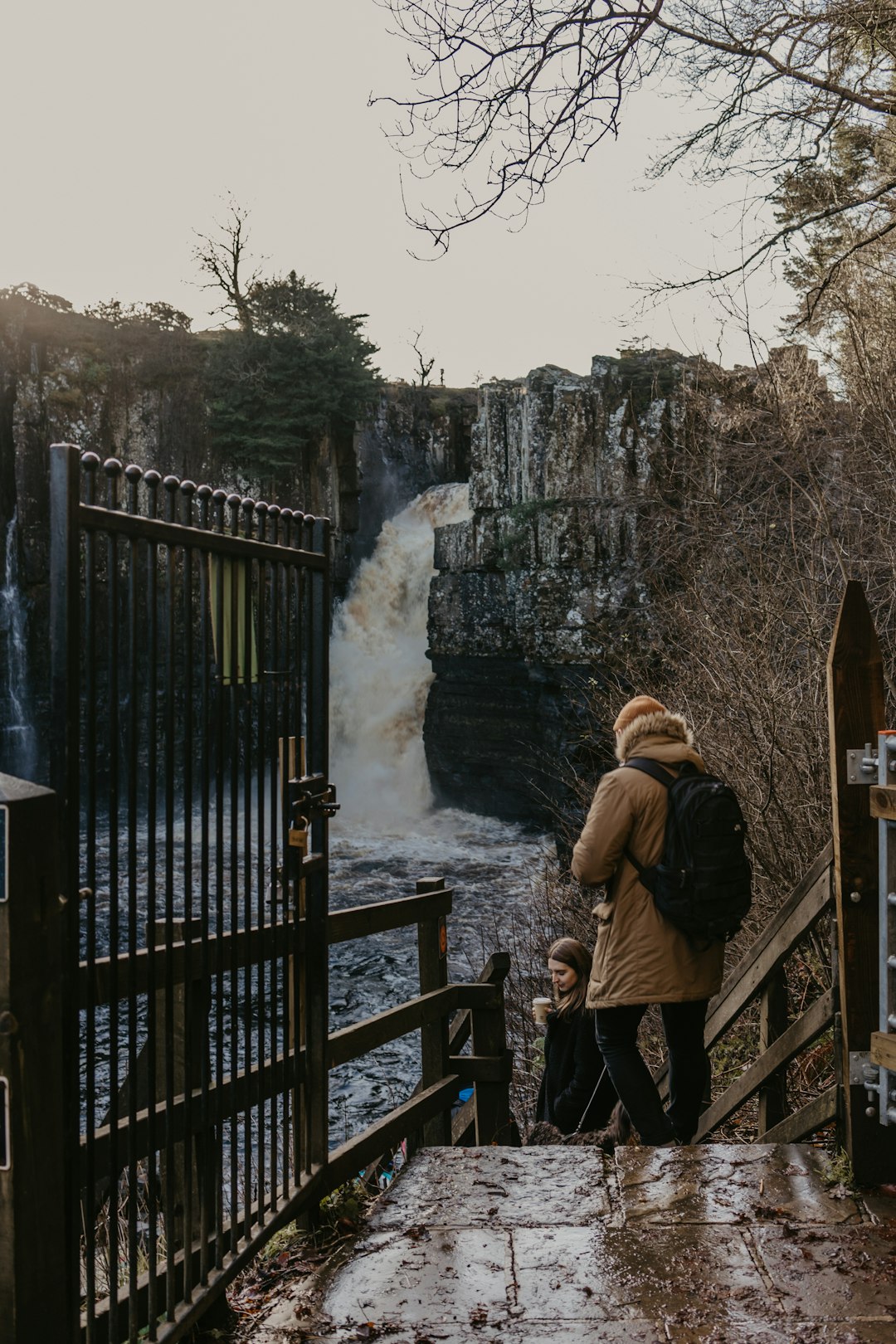 man in brown jacket standing on brown wooden bridge near waterfalls during daytime