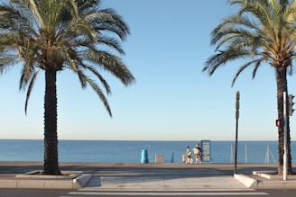 A scenic coastal view featuring two tall palm trees on either side of a walkway. Between the trees, a vast expanse of calm sea stretches to a clear horizon under a blue sky. A couple of people are walking towards the beach, passing a blue recycling bin.