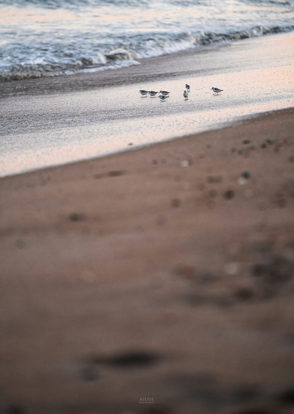 people walking on beach during daytime