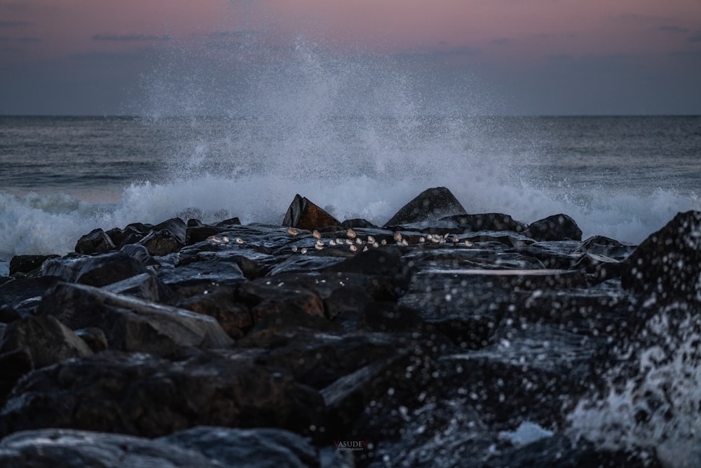rocky shore with water waves