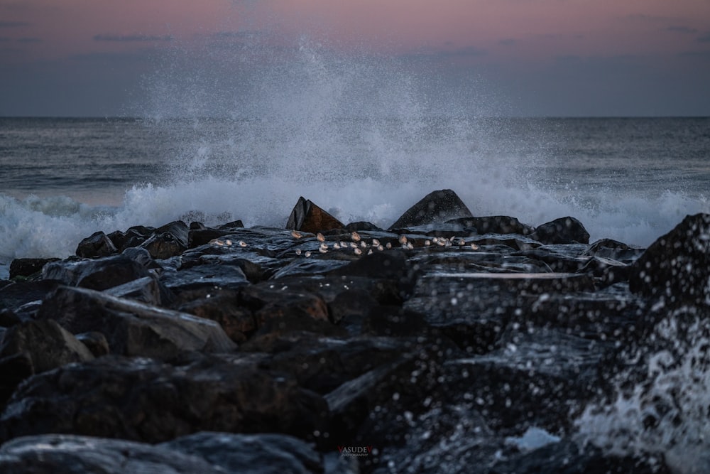 costa rochosa com ondas de água