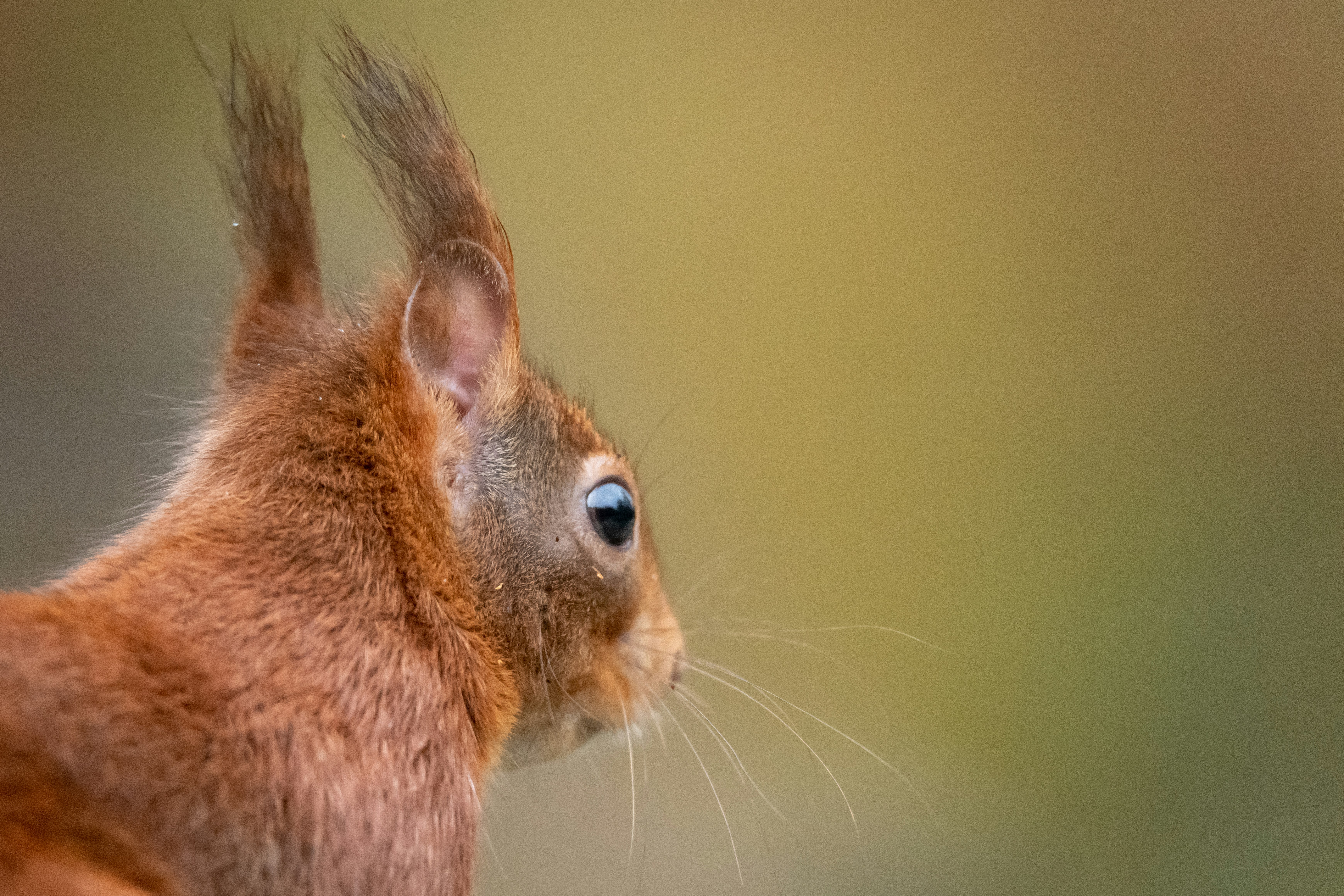 Photo by vincentvanzalinge