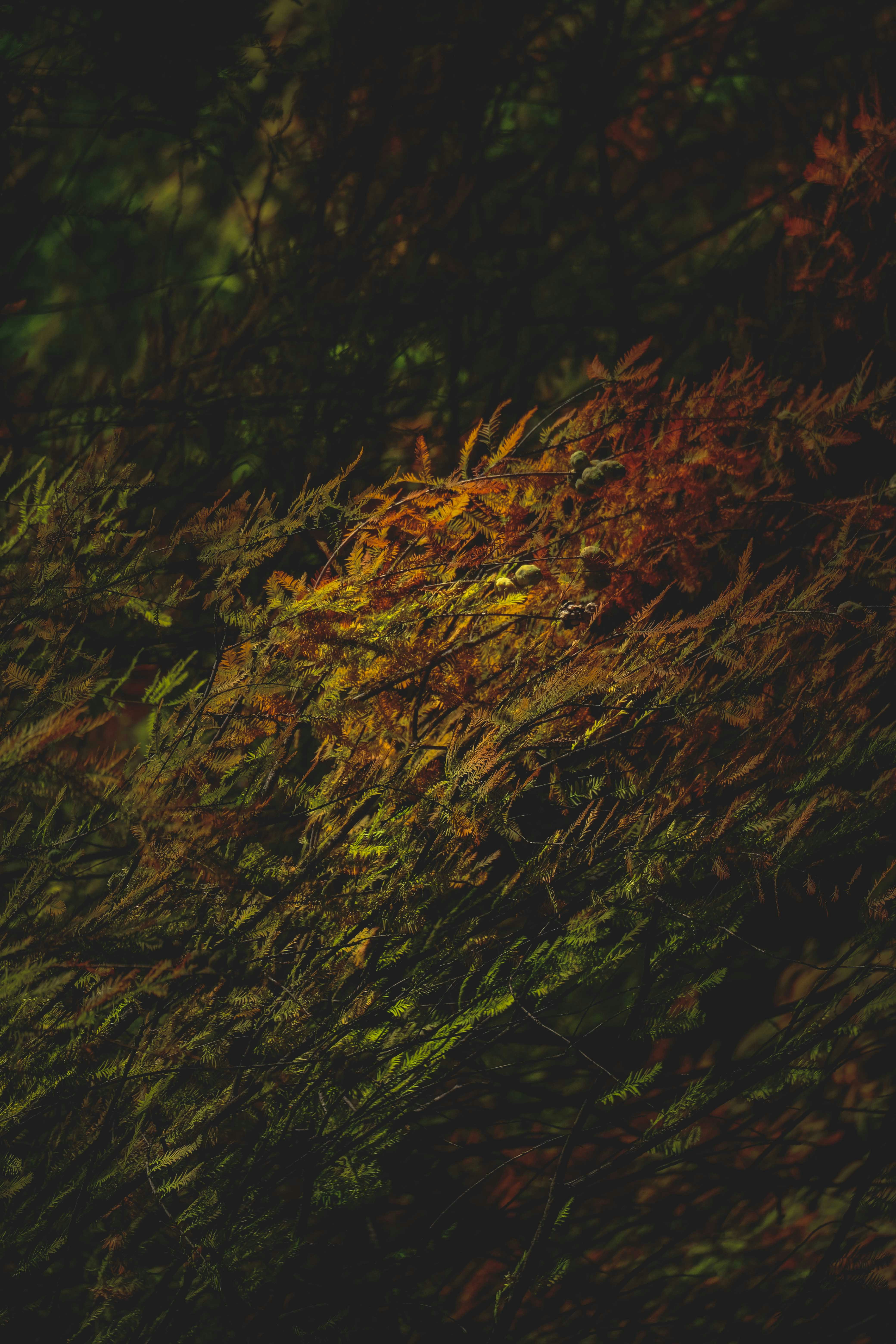 Photo by francesco_ungaro