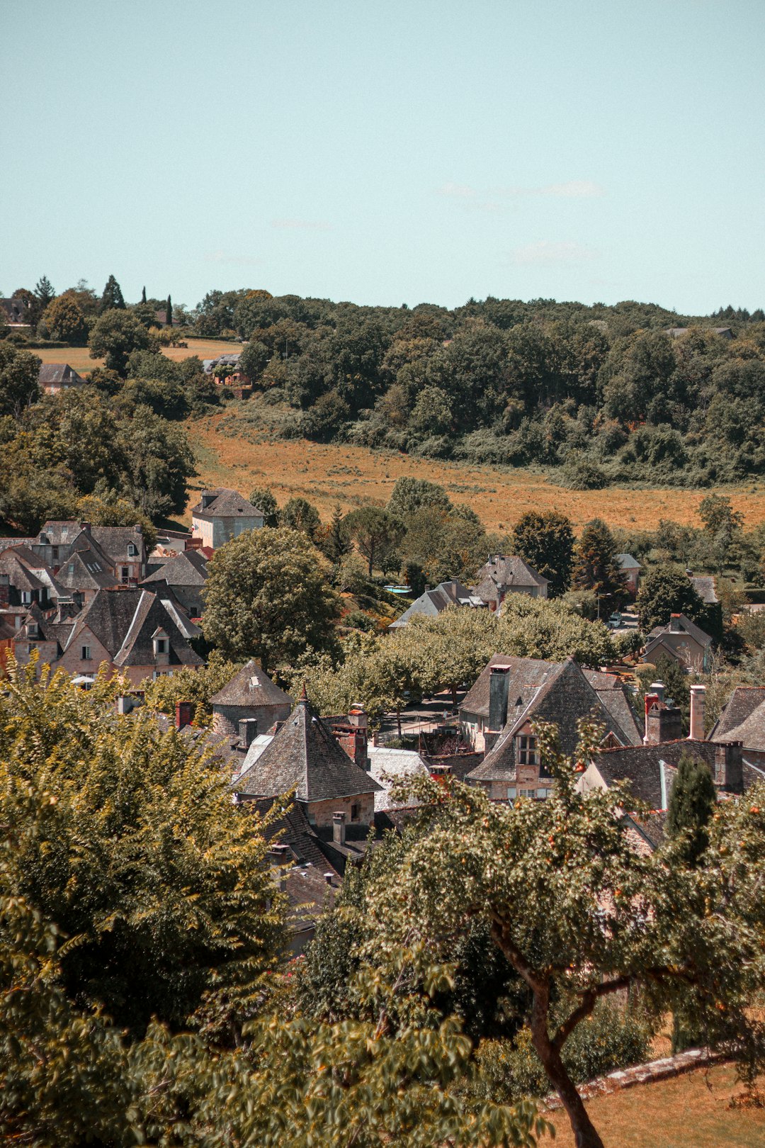 aerial view of houses and trees during daytime