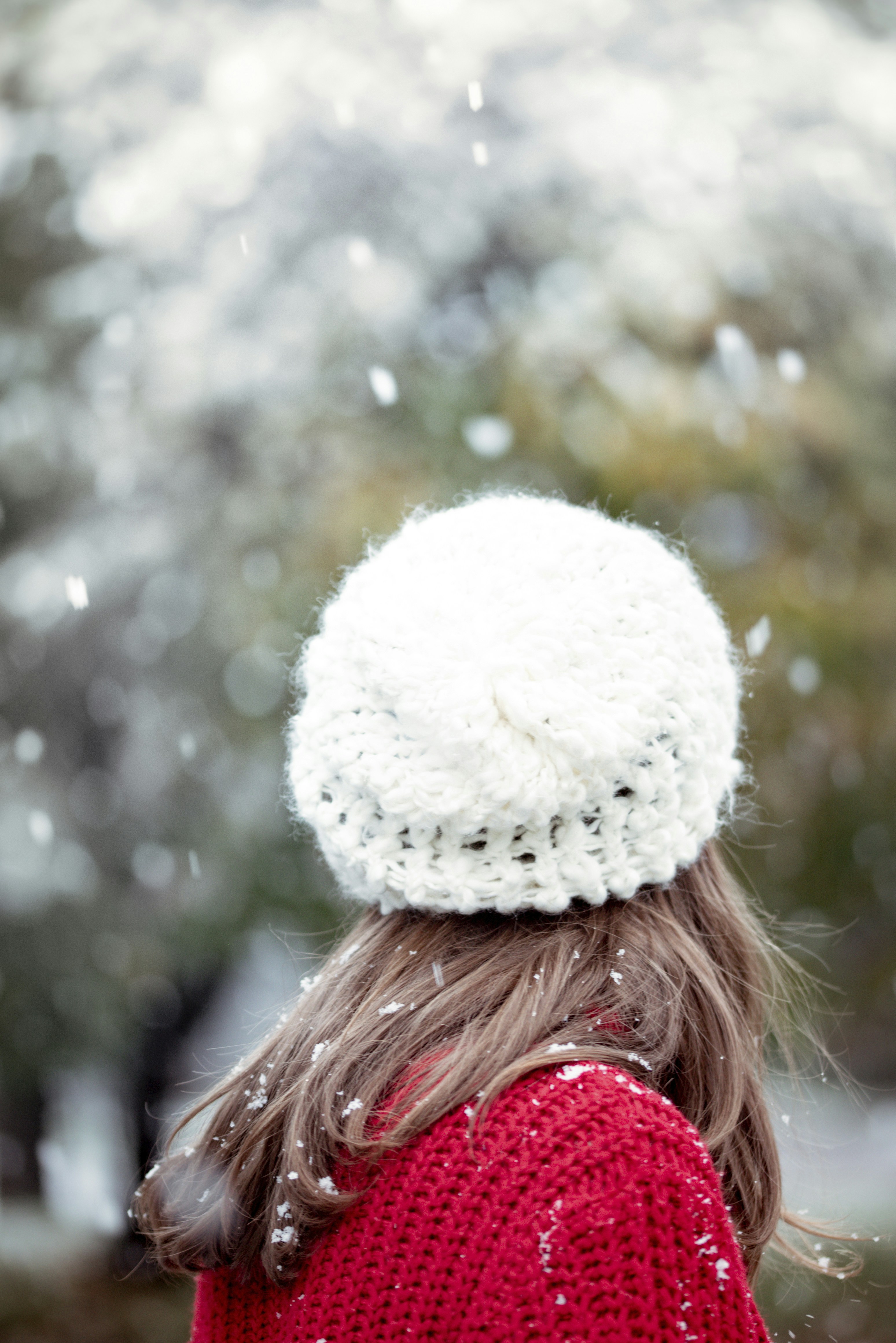 Photo by lauraadaiphoto