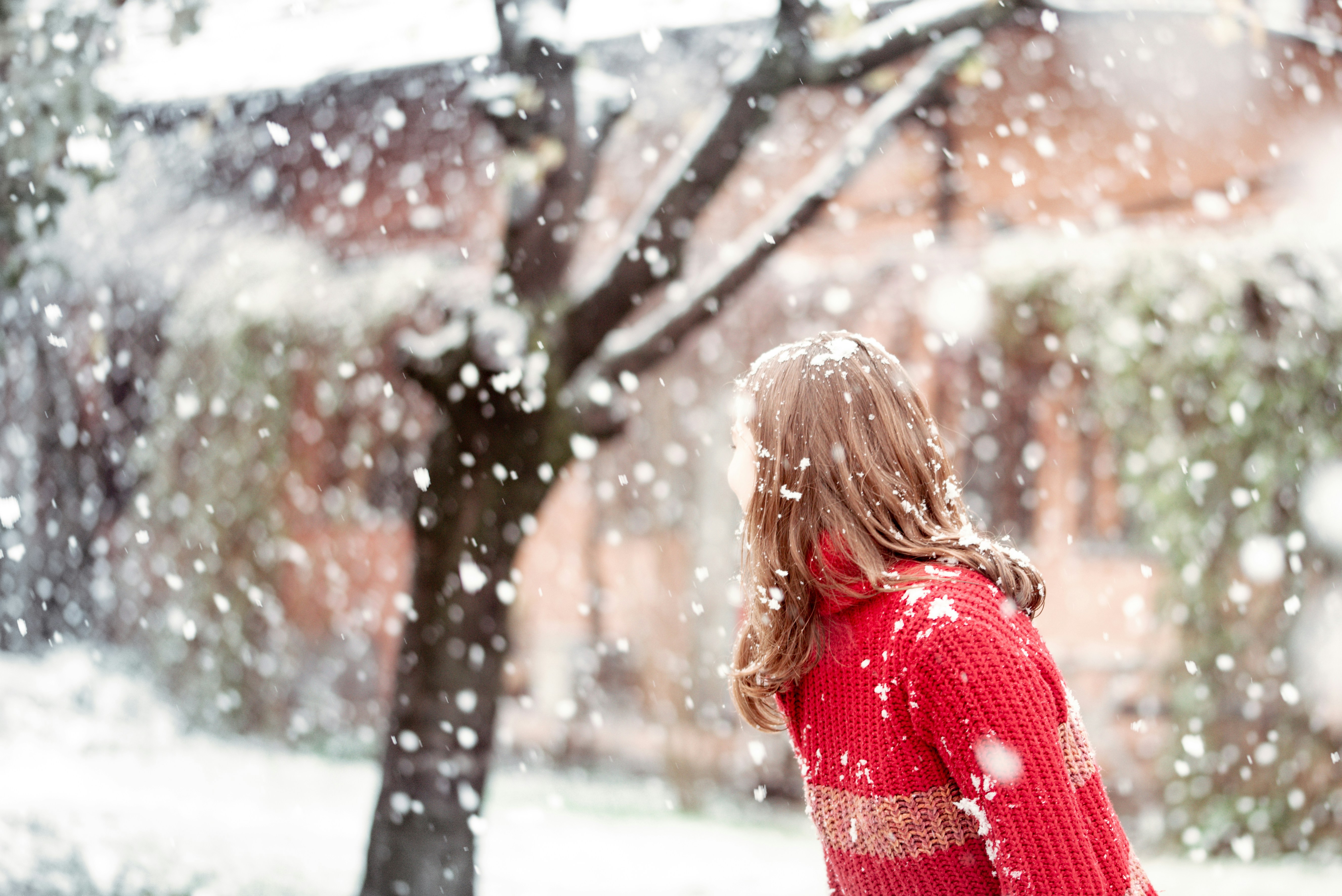 Photo by lauraadaiphoto