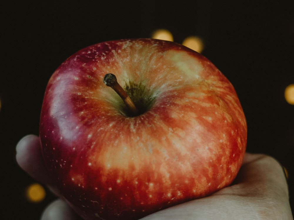 red apple fruit on white textile