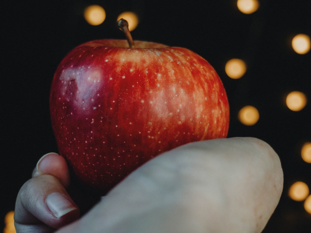 person holding red apple fruit