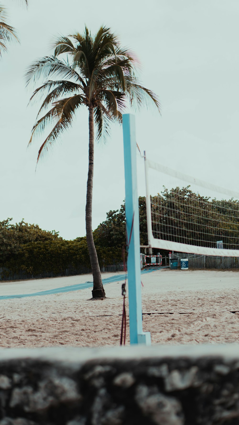 Red de voleibol blanca y azul cerca de la palmera verde durante el día