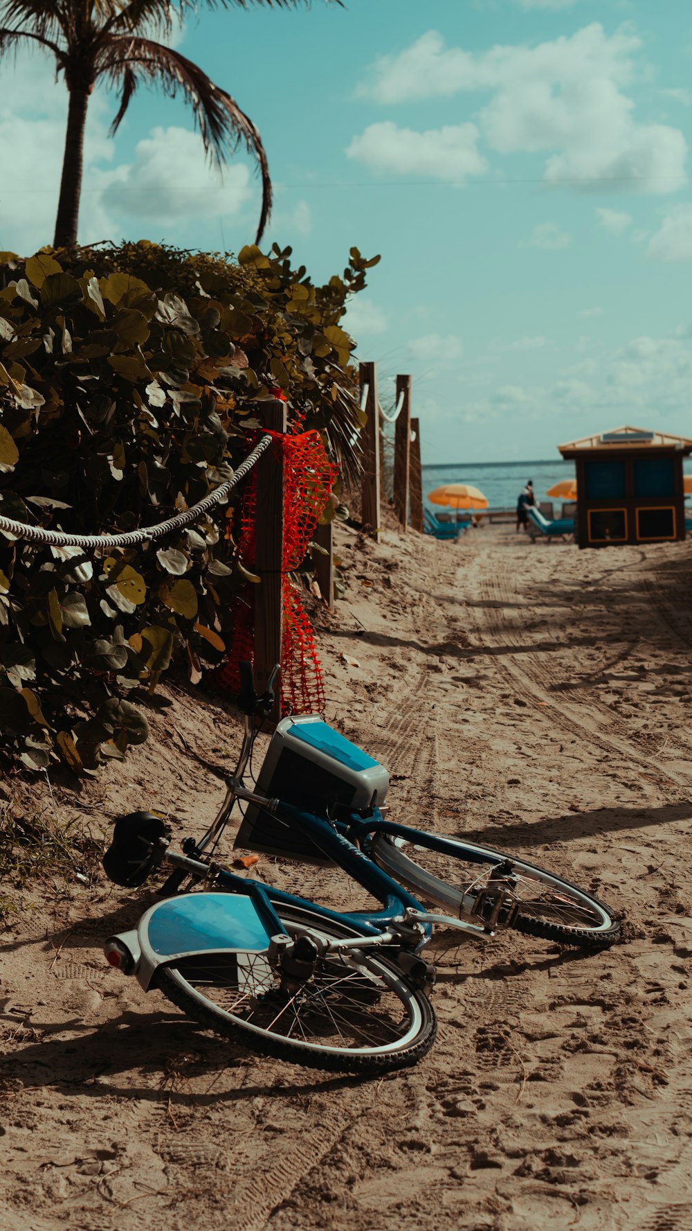 bicycle parked beside wooden fence during daytime