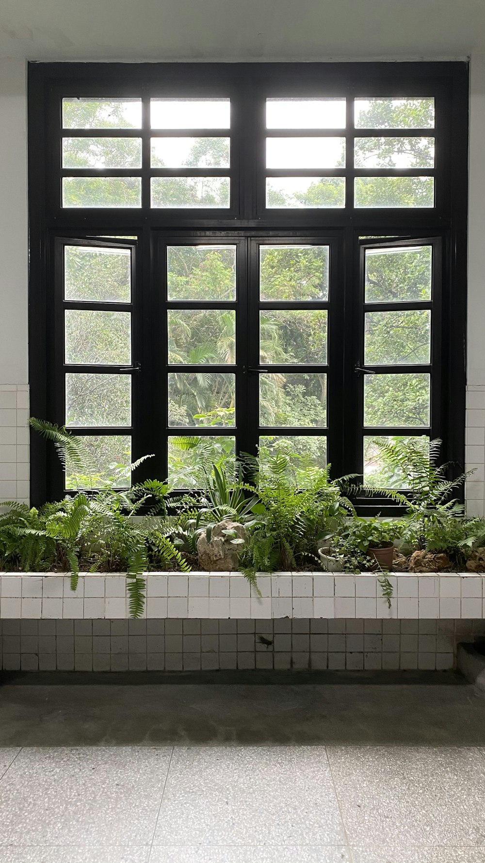 green plants on white ceramic pot beside black wooden window
