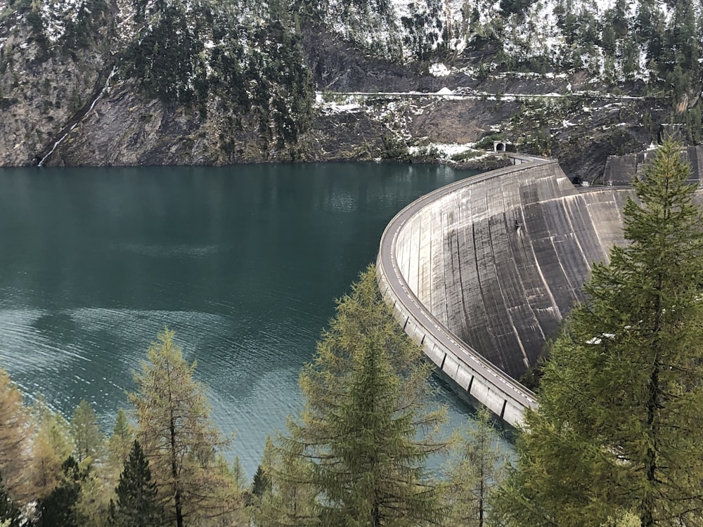 body of water near green trees and gray concrete wall