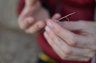 Close-up of hands gently holding a family tree diagram.