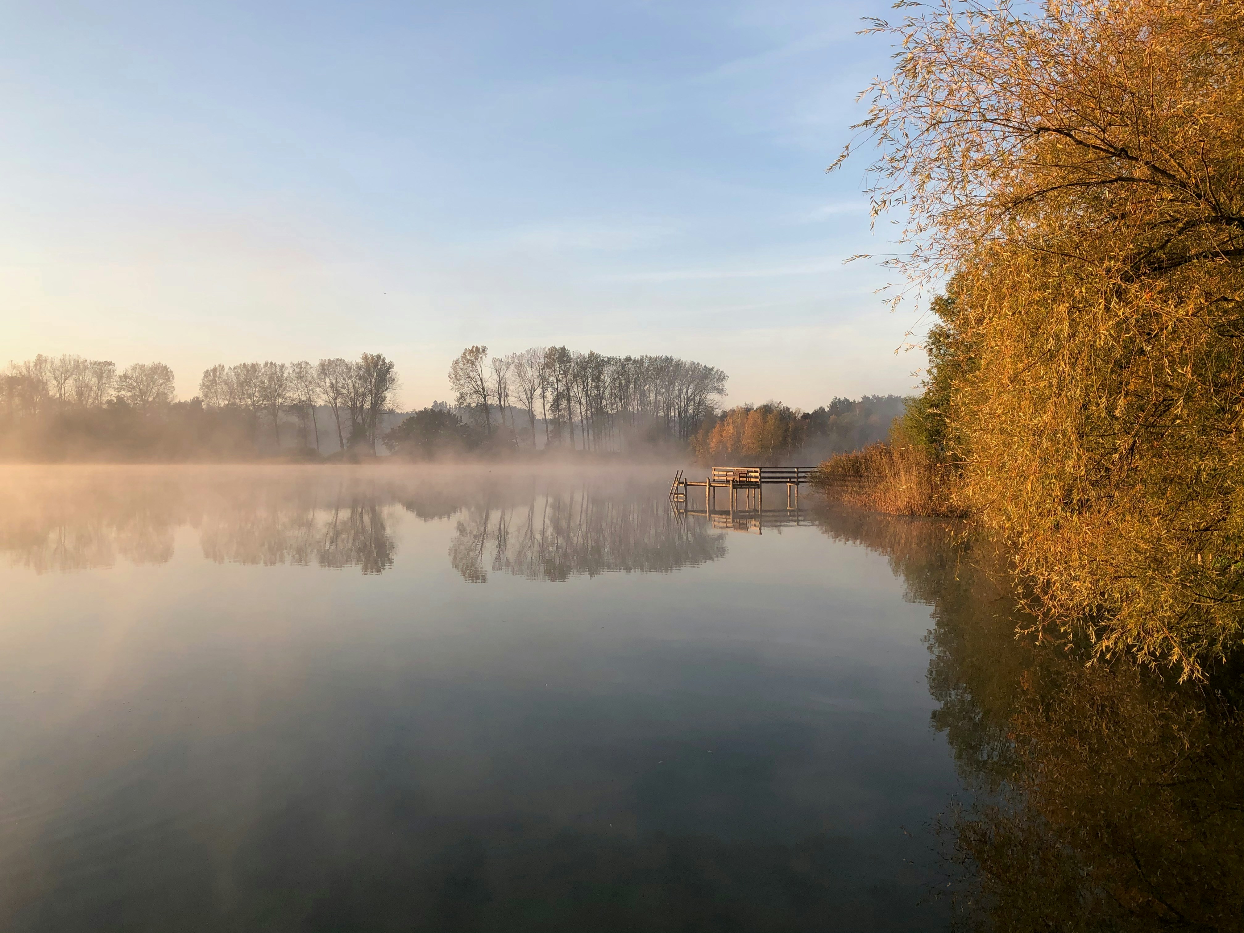 Photo by wasserfalltante