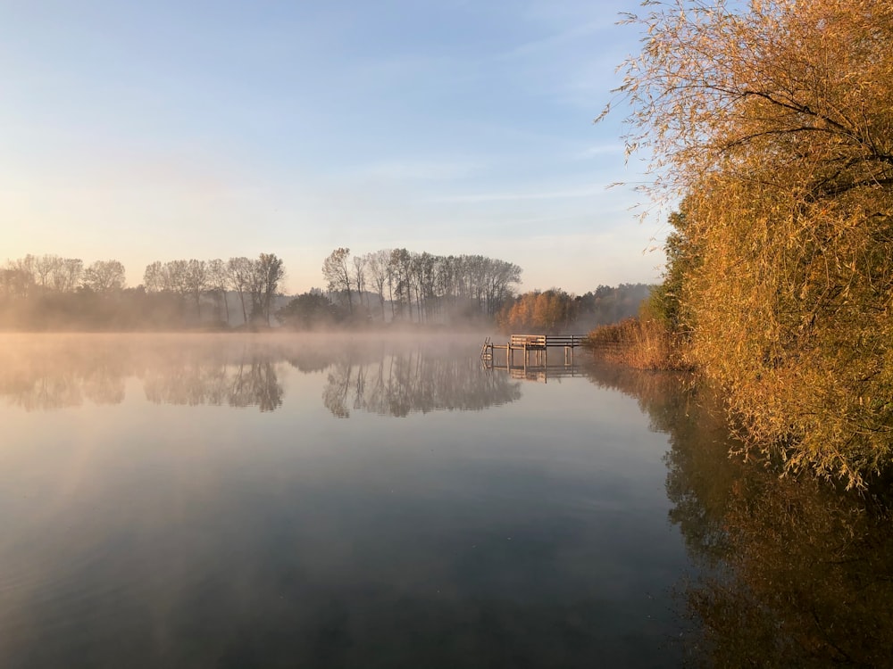 alberi marroni accanto al lago sotto il cielo blu durante il giorno