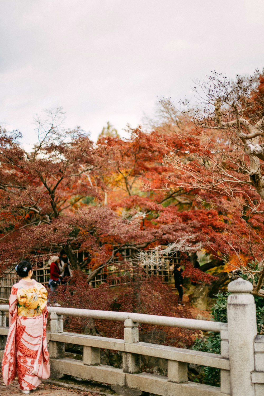 people walking on bridge near brown trees during daytime