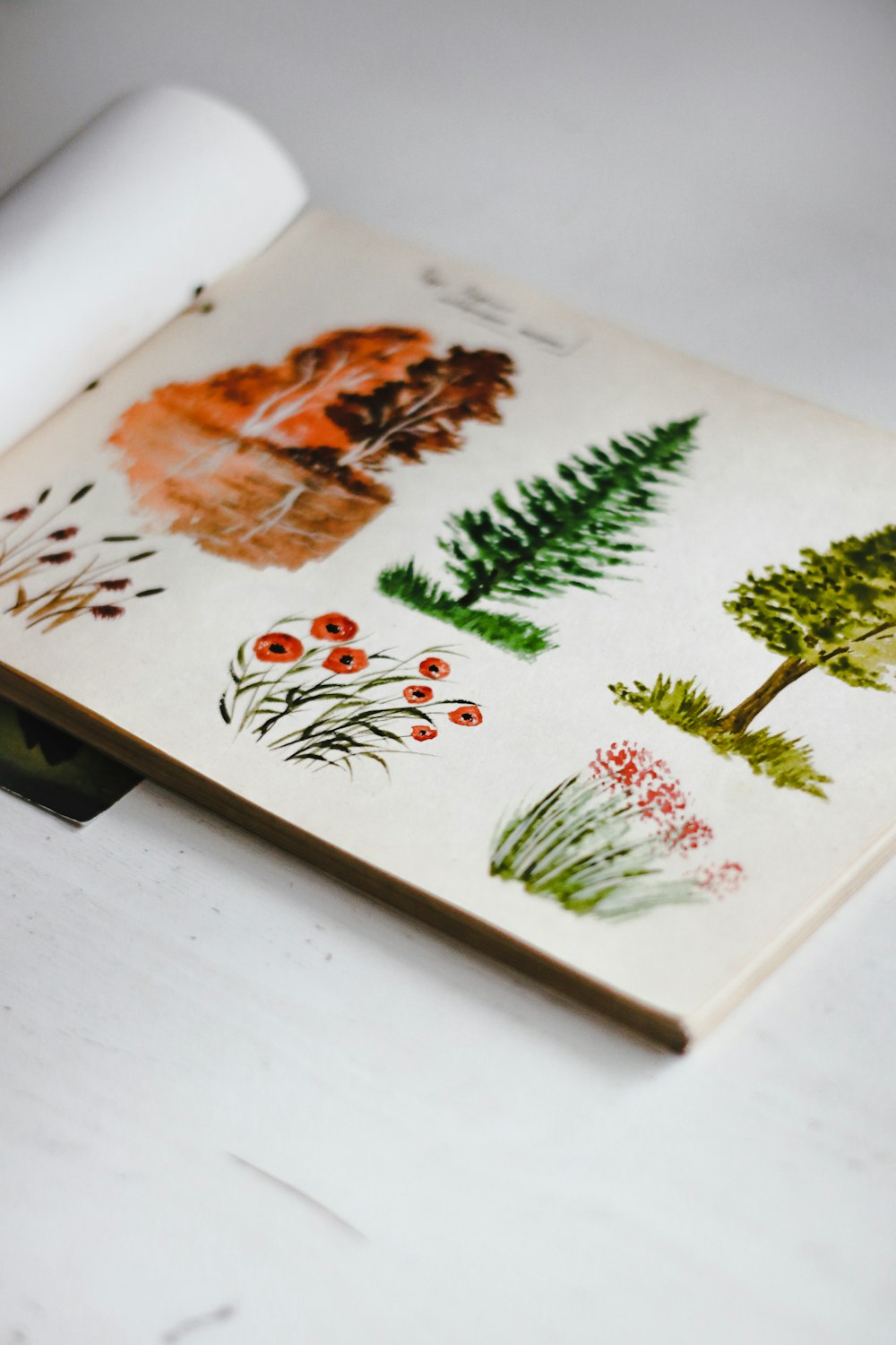 흰색 녹색과 빨간색 꽃 책