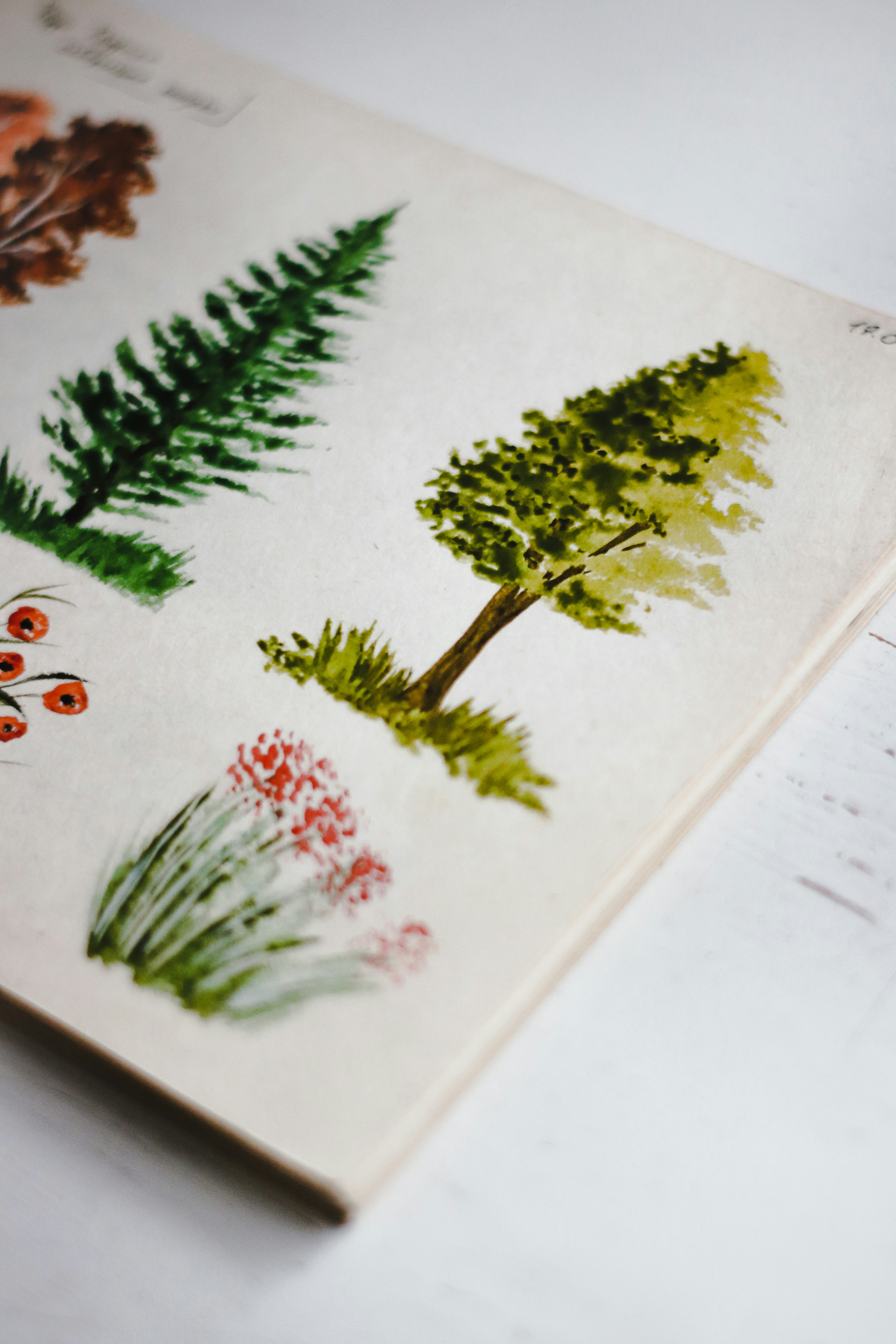 photo by pure julia via unsplash.com