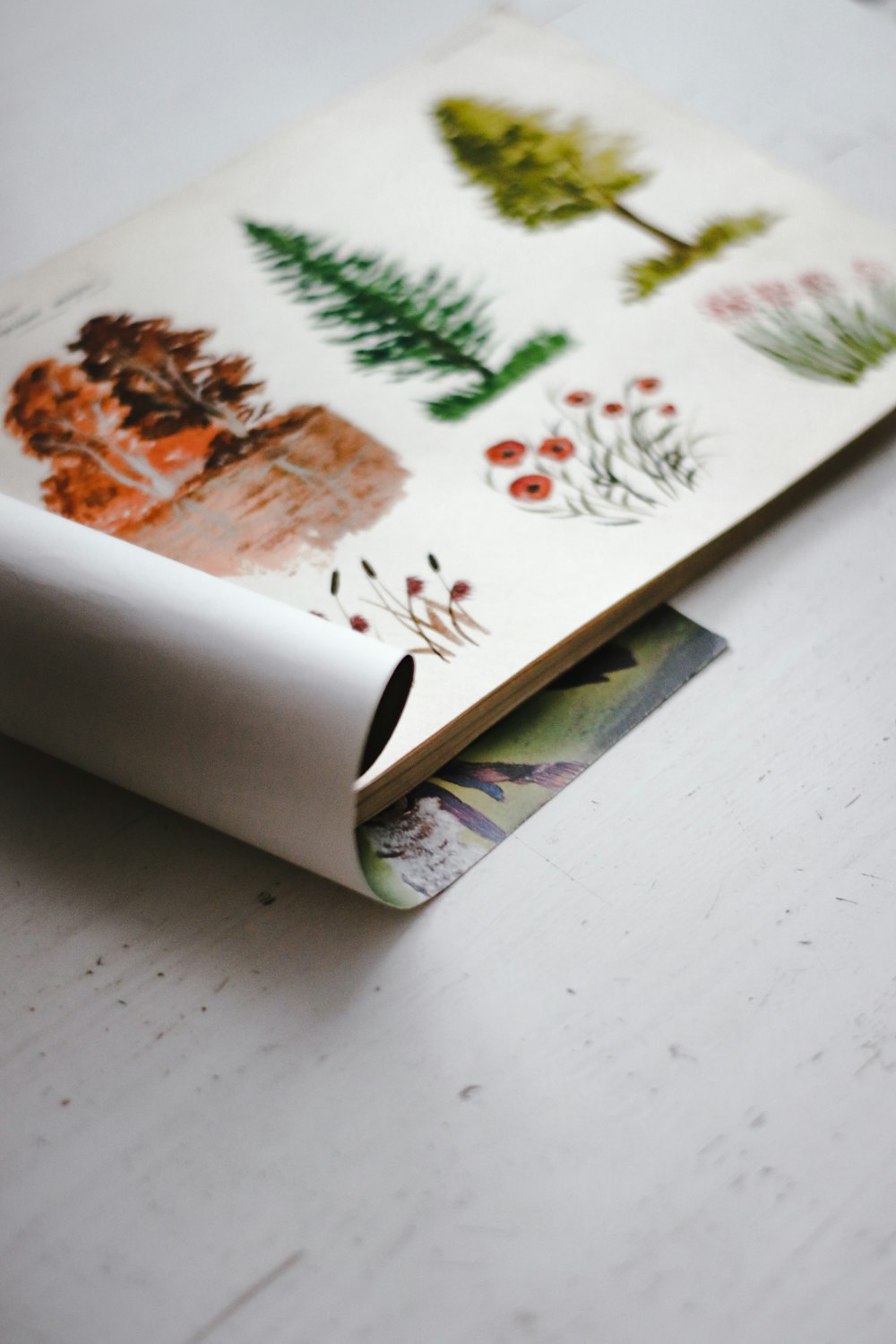 white green and brown floral textile