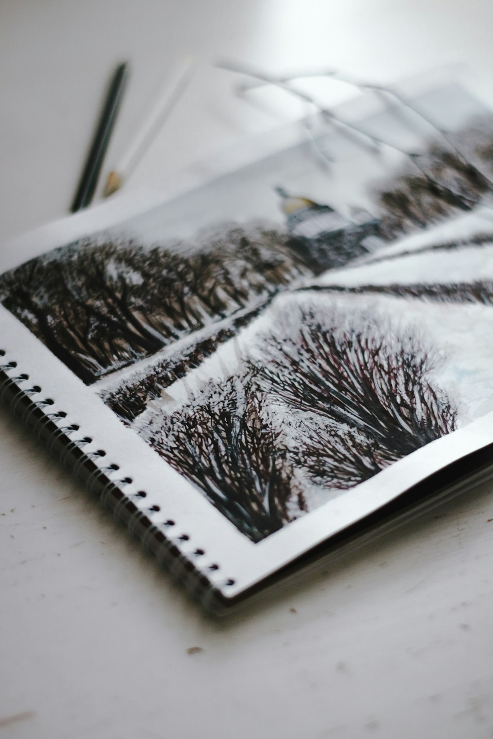 white and black spiral notebook