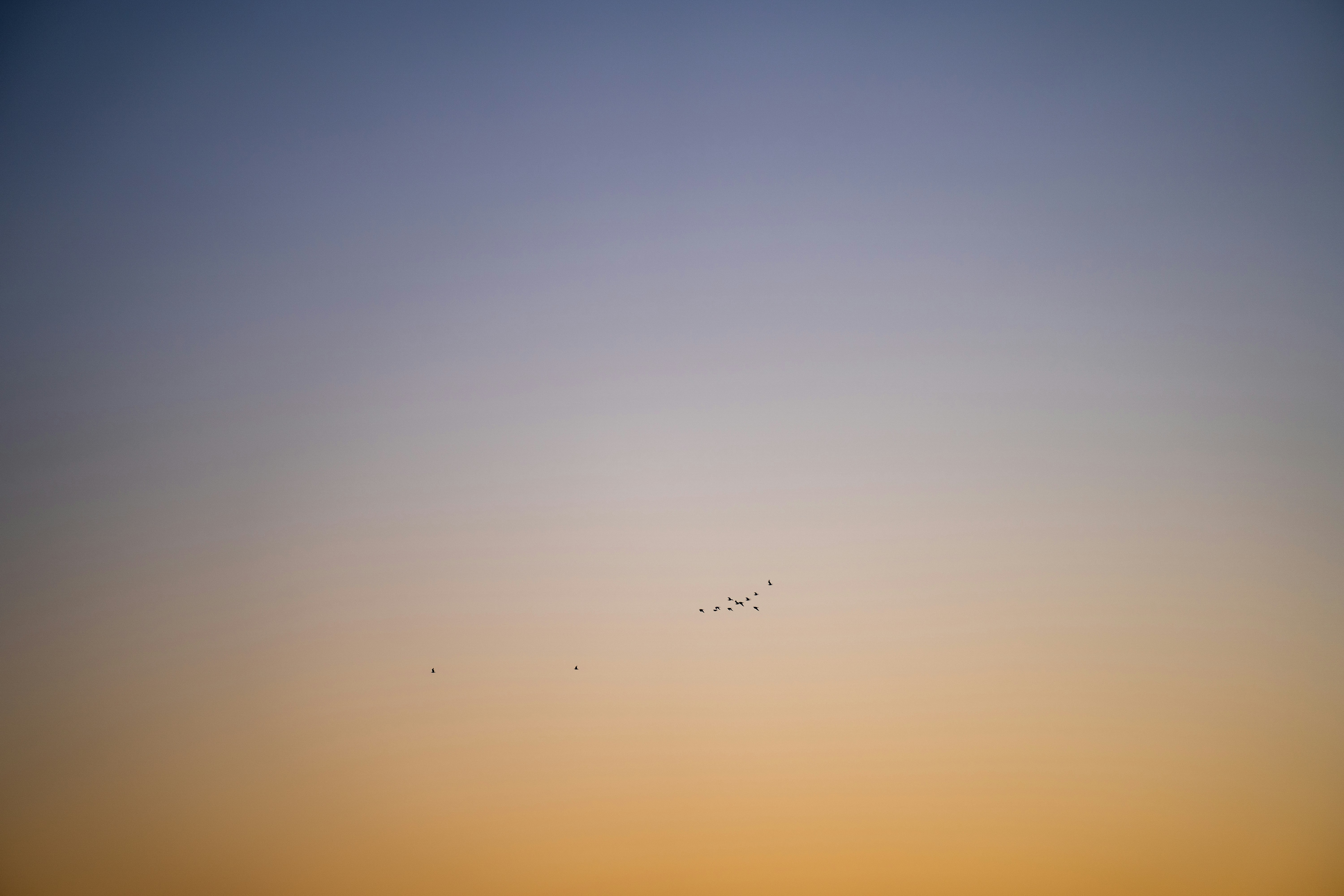 Photo by timumphreys