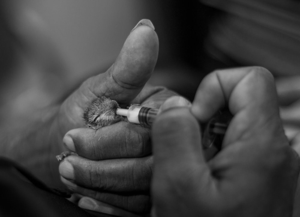 person holding a black thread