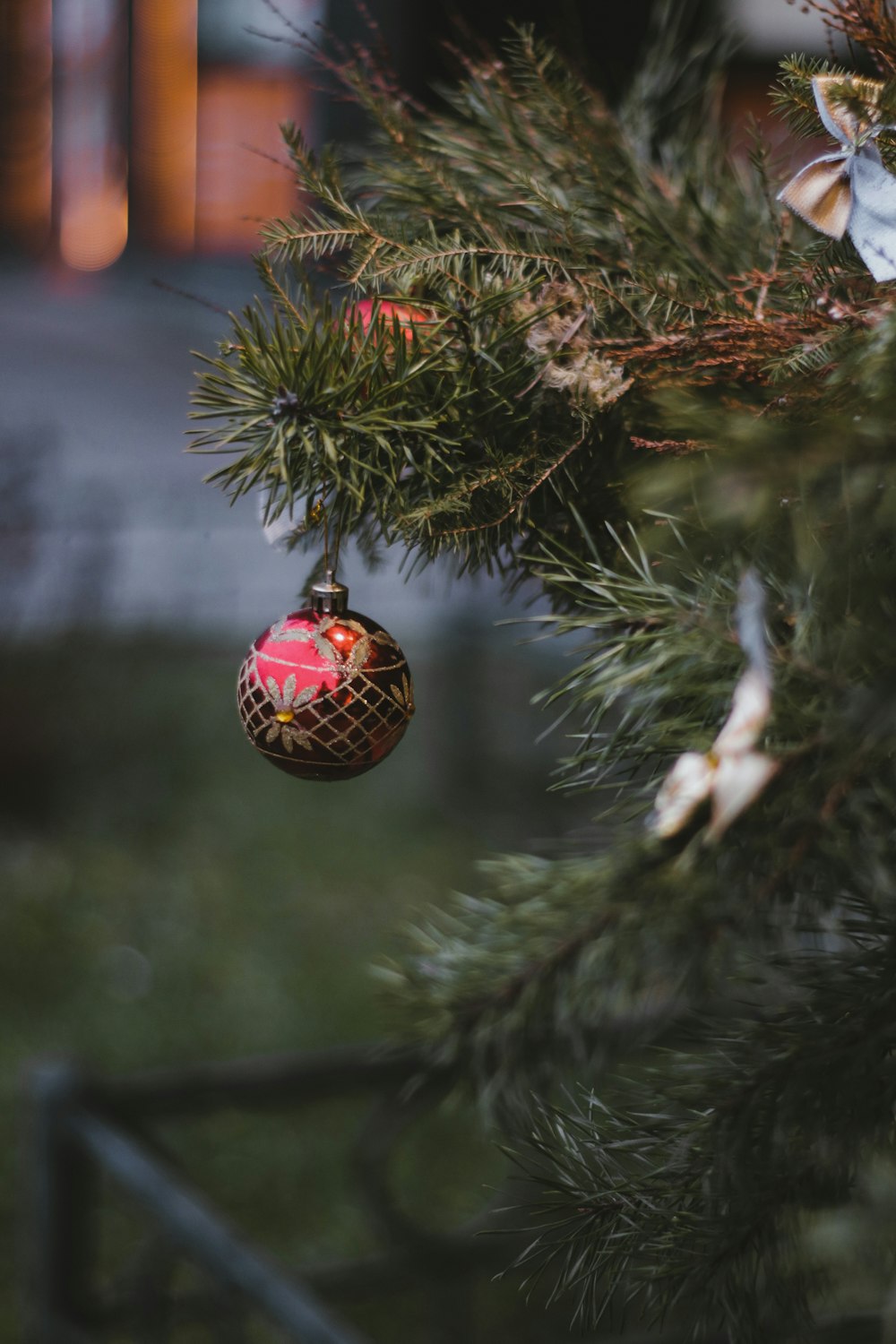 red and black bauble on green pine tree