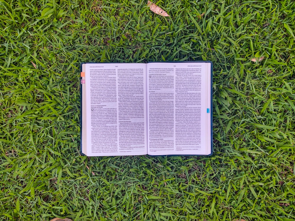 white book on green grass