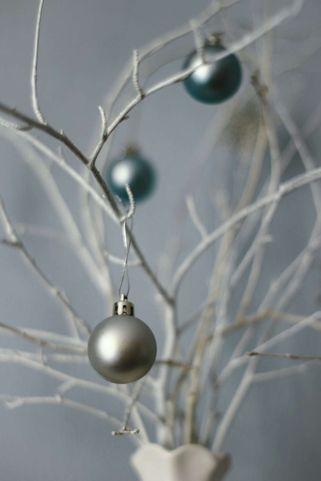 silver baubles on brown tree branch