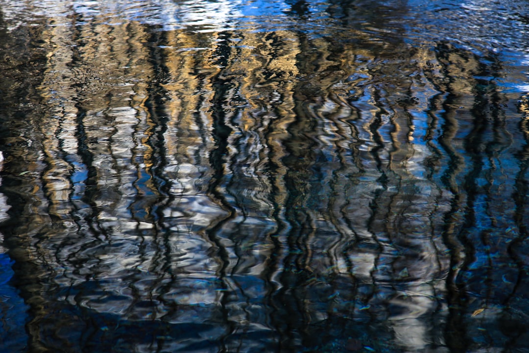 reflection of light on water