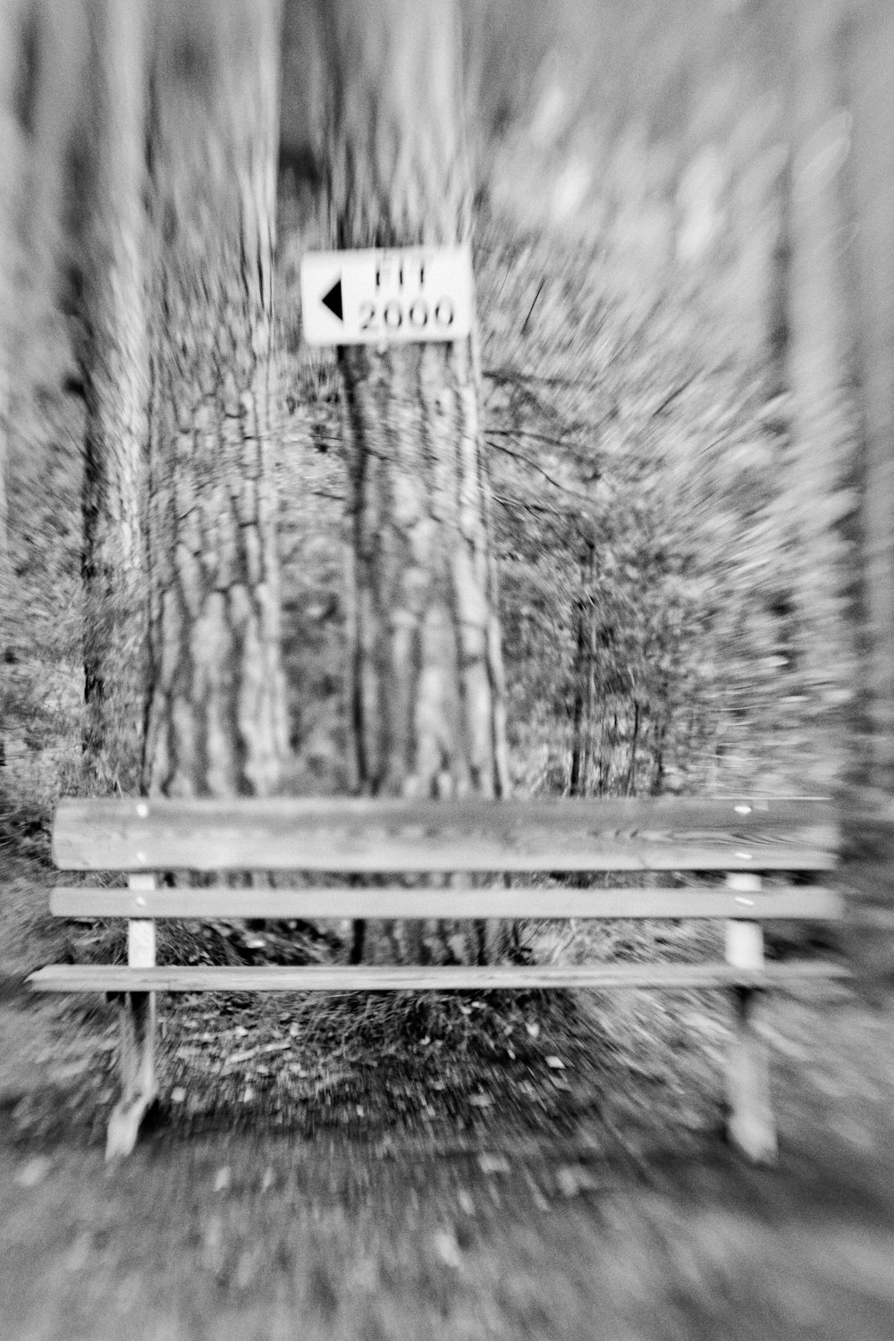 grayscale photo of wooden bench near trees