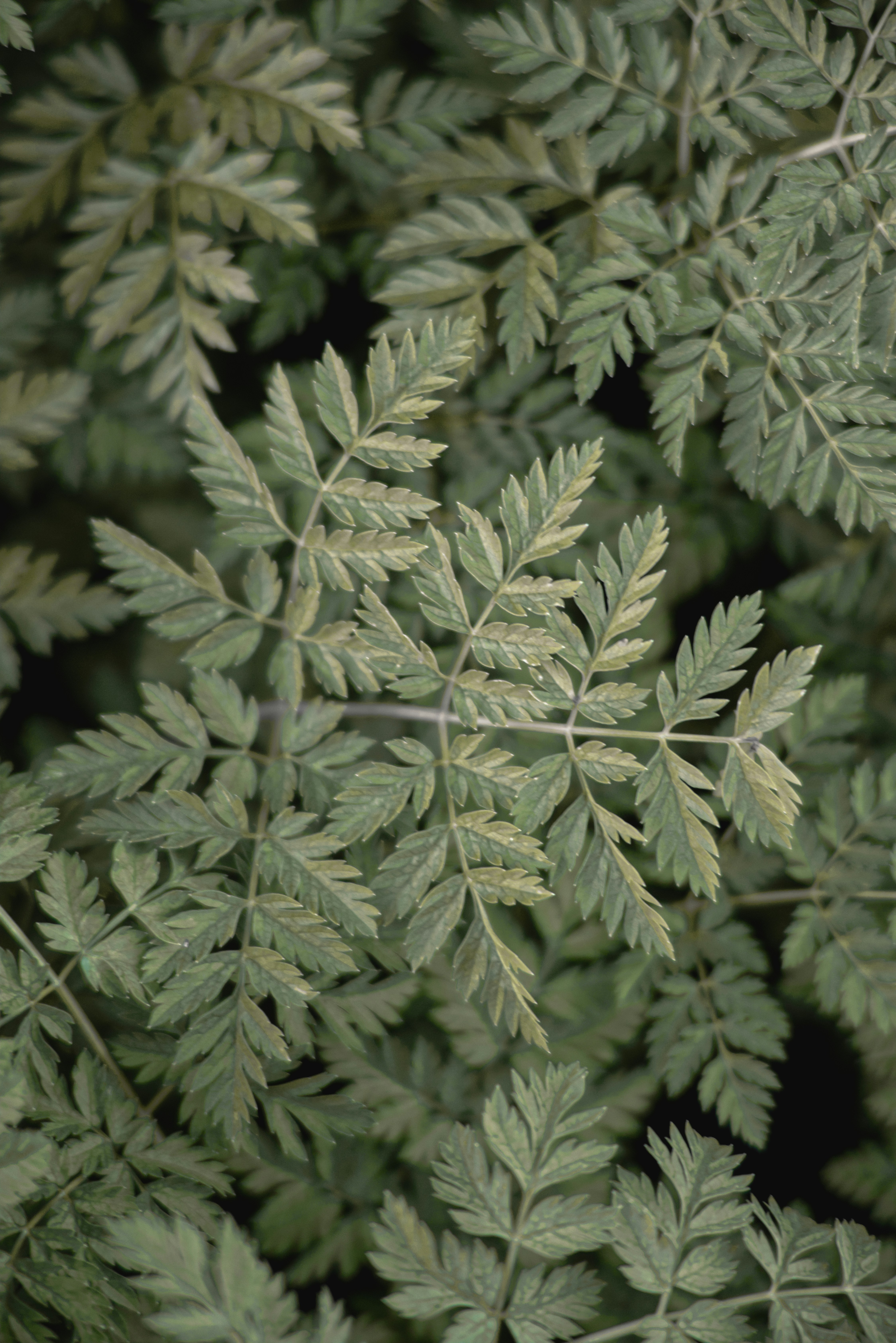 Photo by ldpeterson11