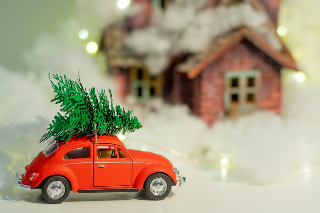 red volkswagen beetle parked beside green pine tree during daytime