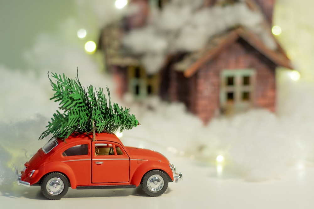 red volkswagen beetle parked beside green pine tree during daytime