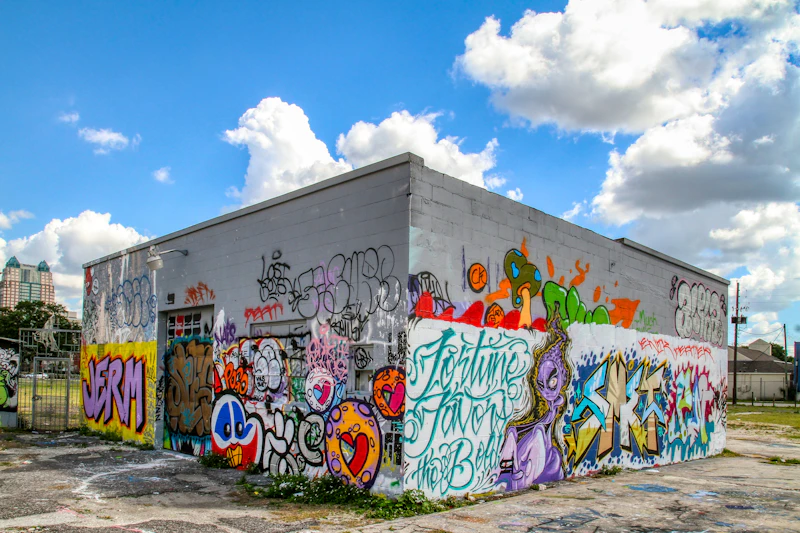 Orlando trade expo venue - white and blue graffiti on wall under blue sky during daytime