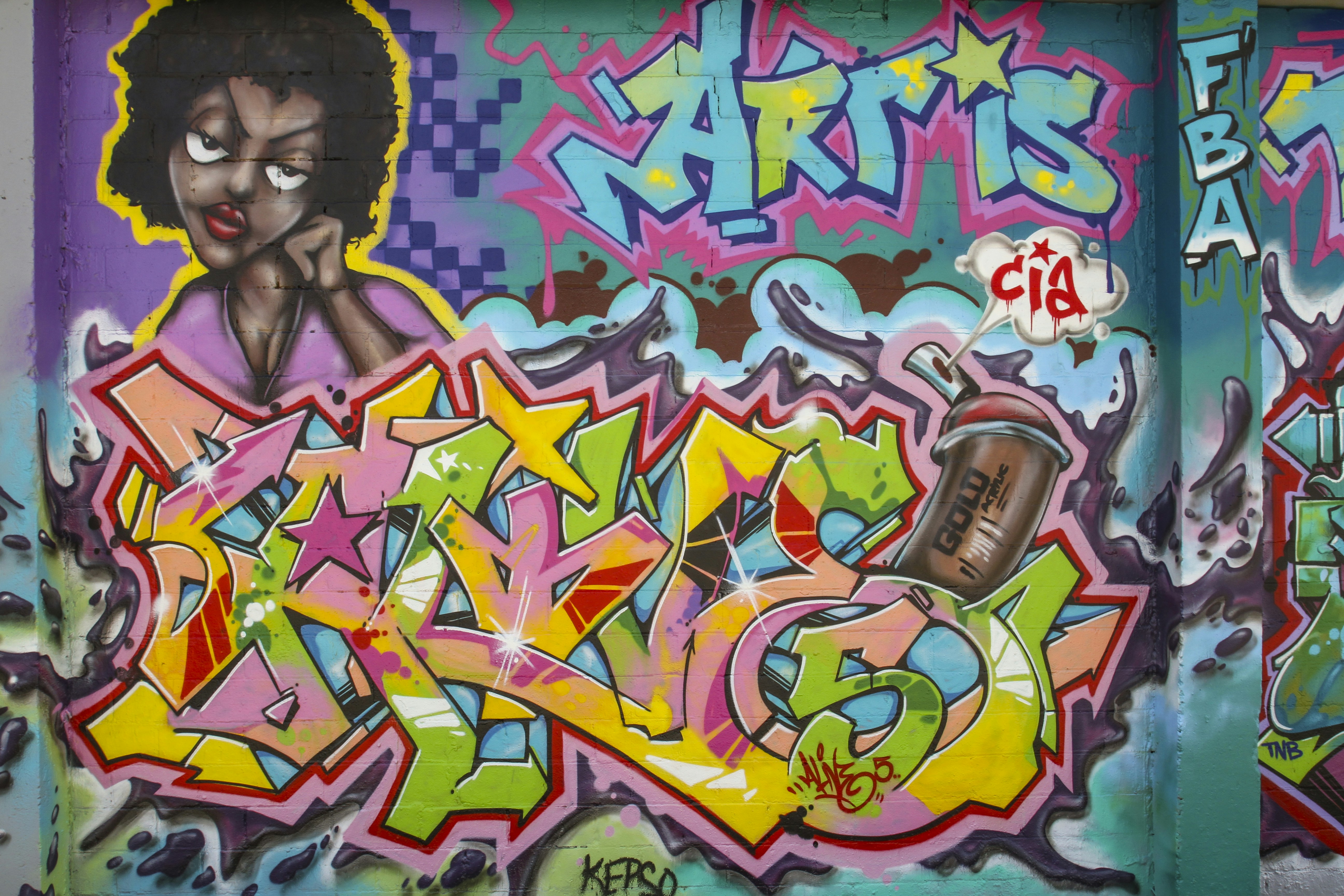 500 Graffiti Art Pictures Hd Download Free Images On Unsplash